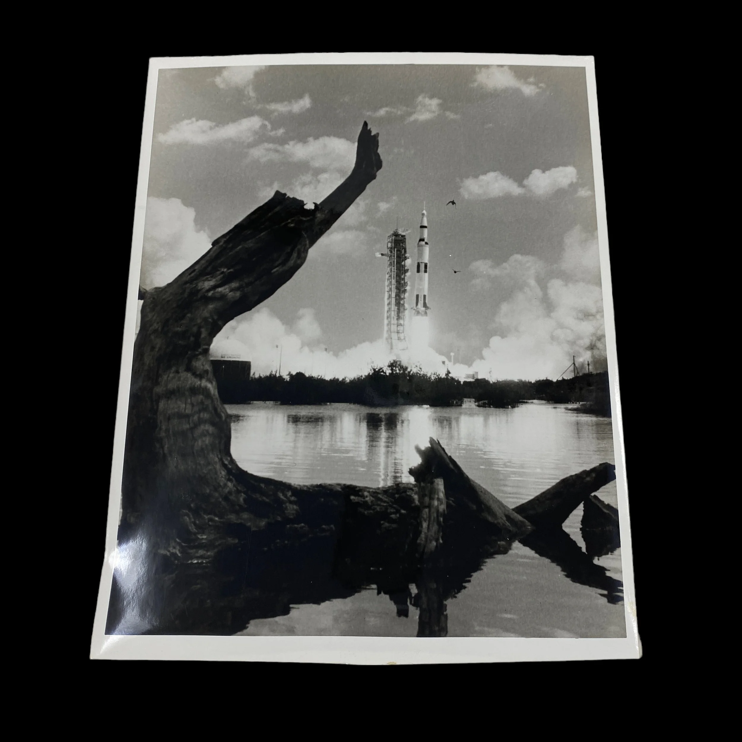 PhotoRoom_093_20231102_085706.JPG