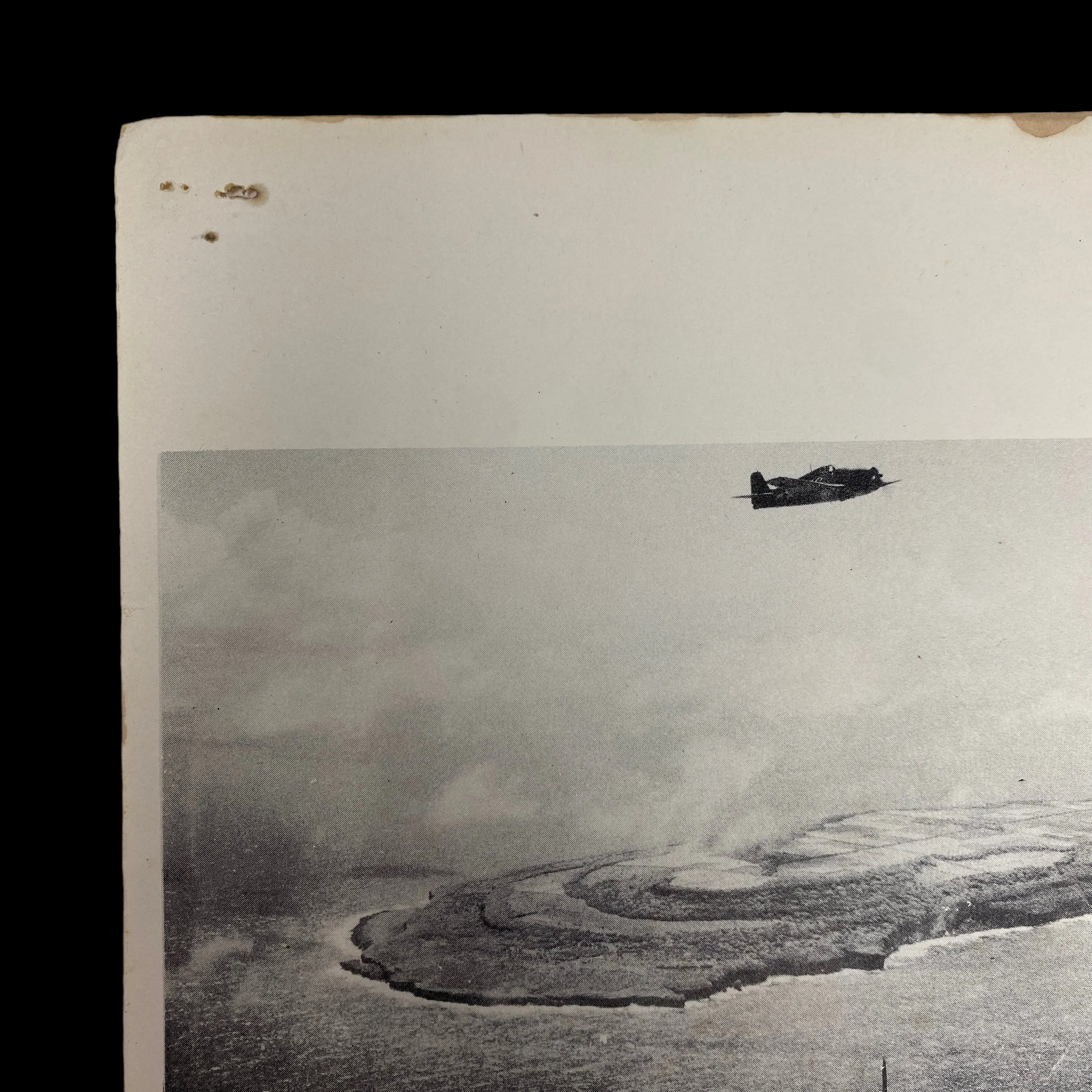 PhotoRoom_047_20240109_192750 2.JPG