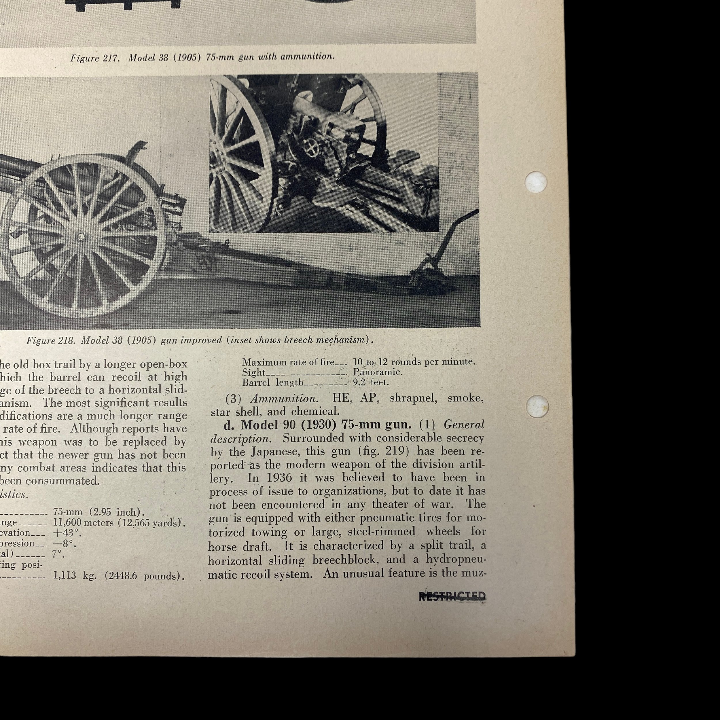 PhotoRoom_087_20240114_125336.JPG