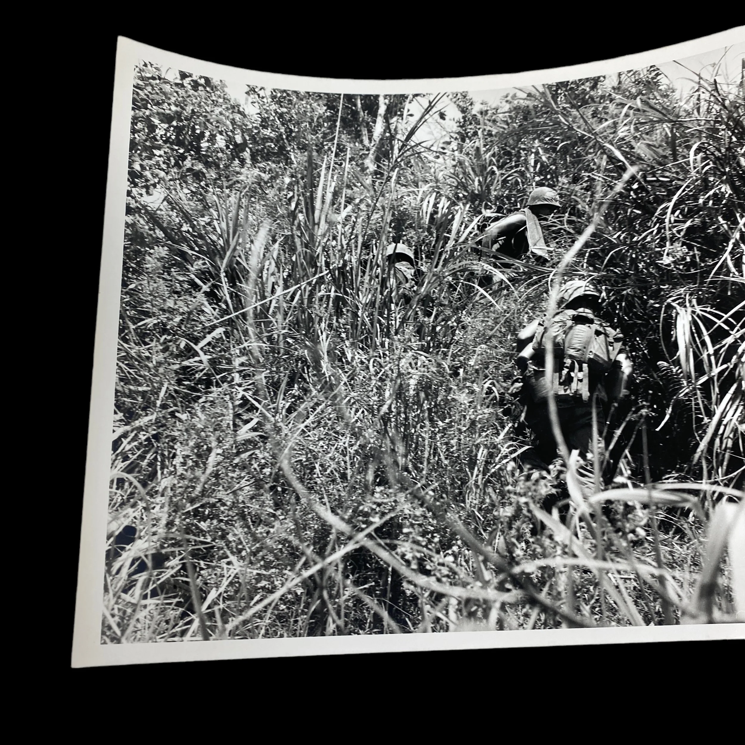 PhotoRoom_036_20240115_160714 2.JPG