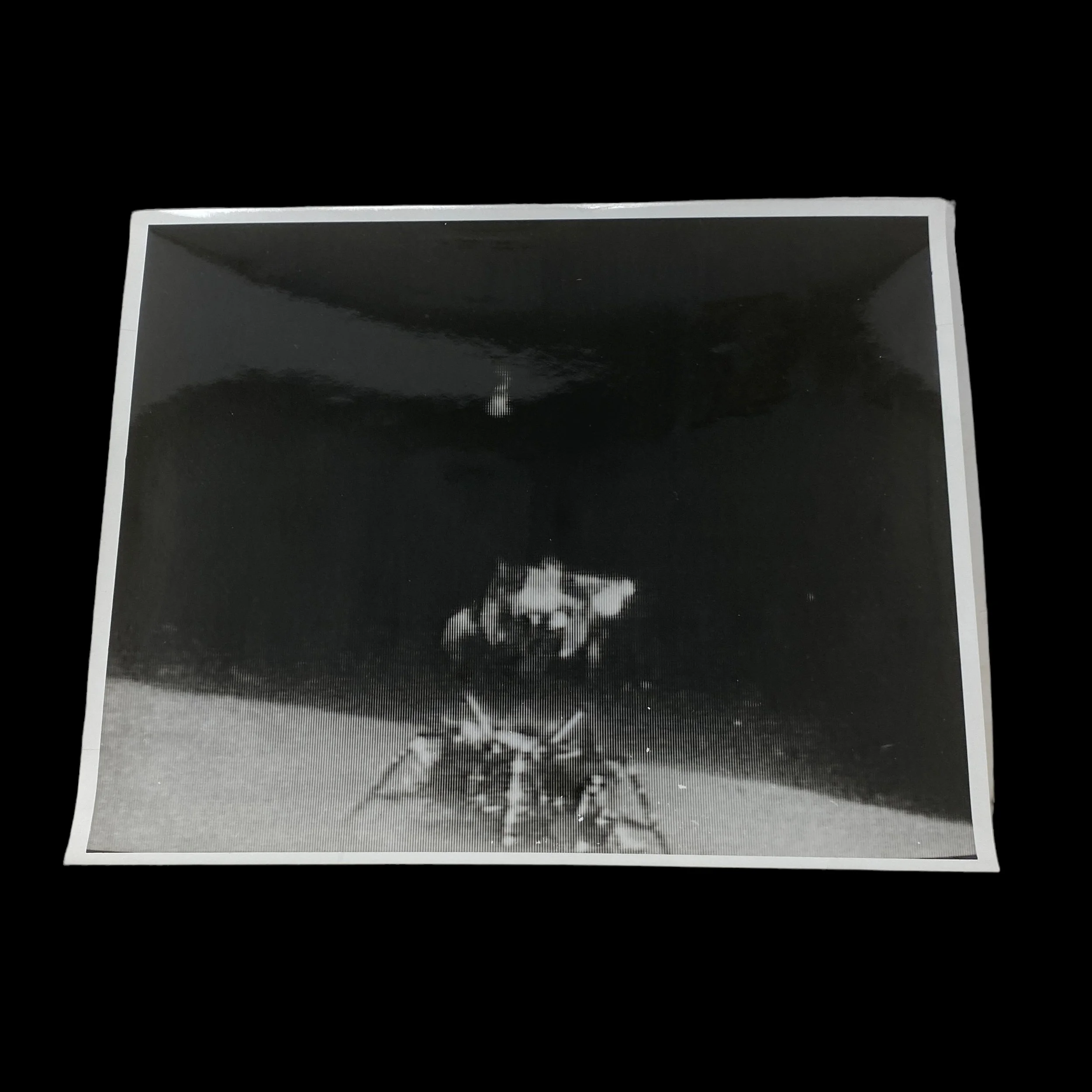 PhotoRoom_085_20240115_193637.JPG