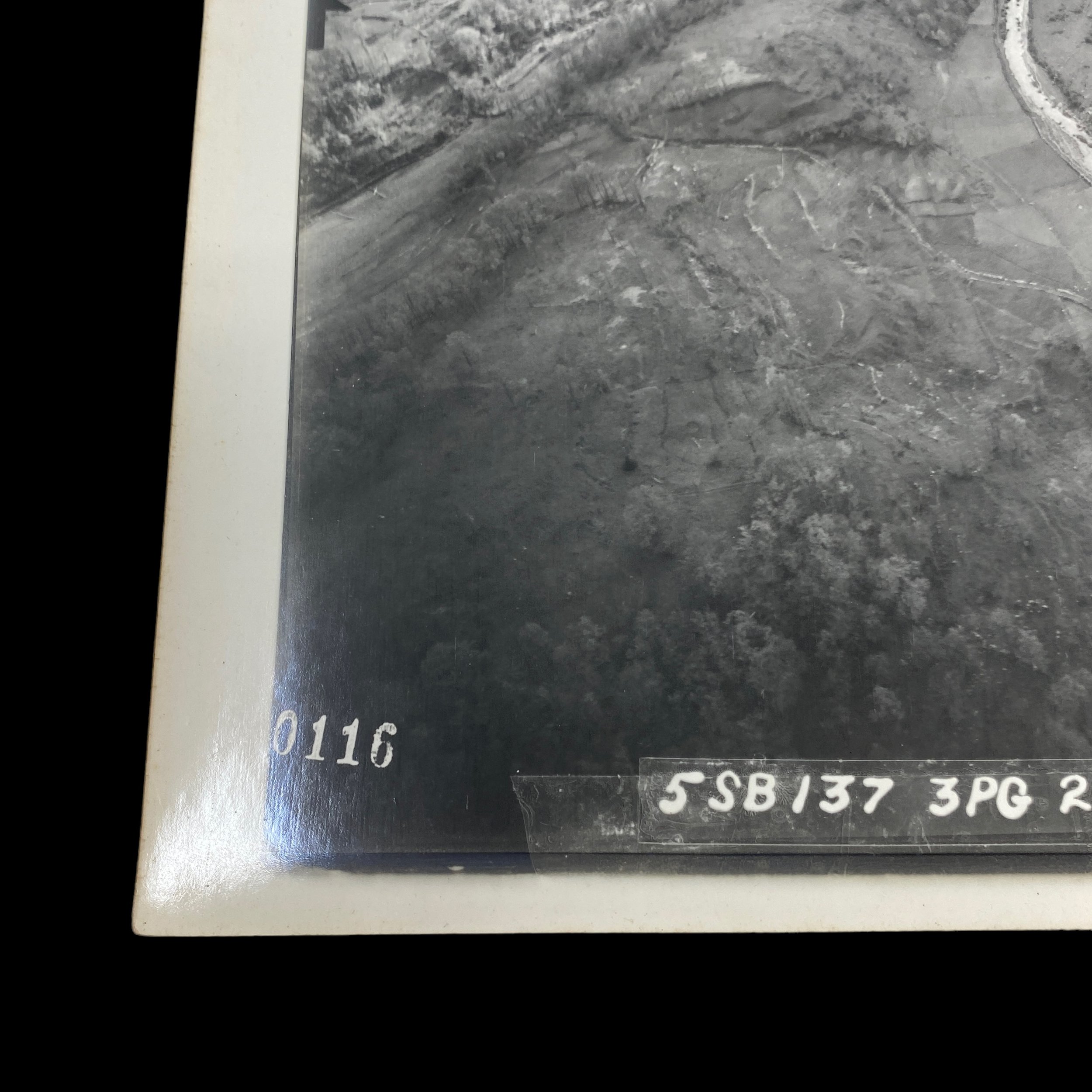 PhotoRoom_092_20240131_081557.JPG