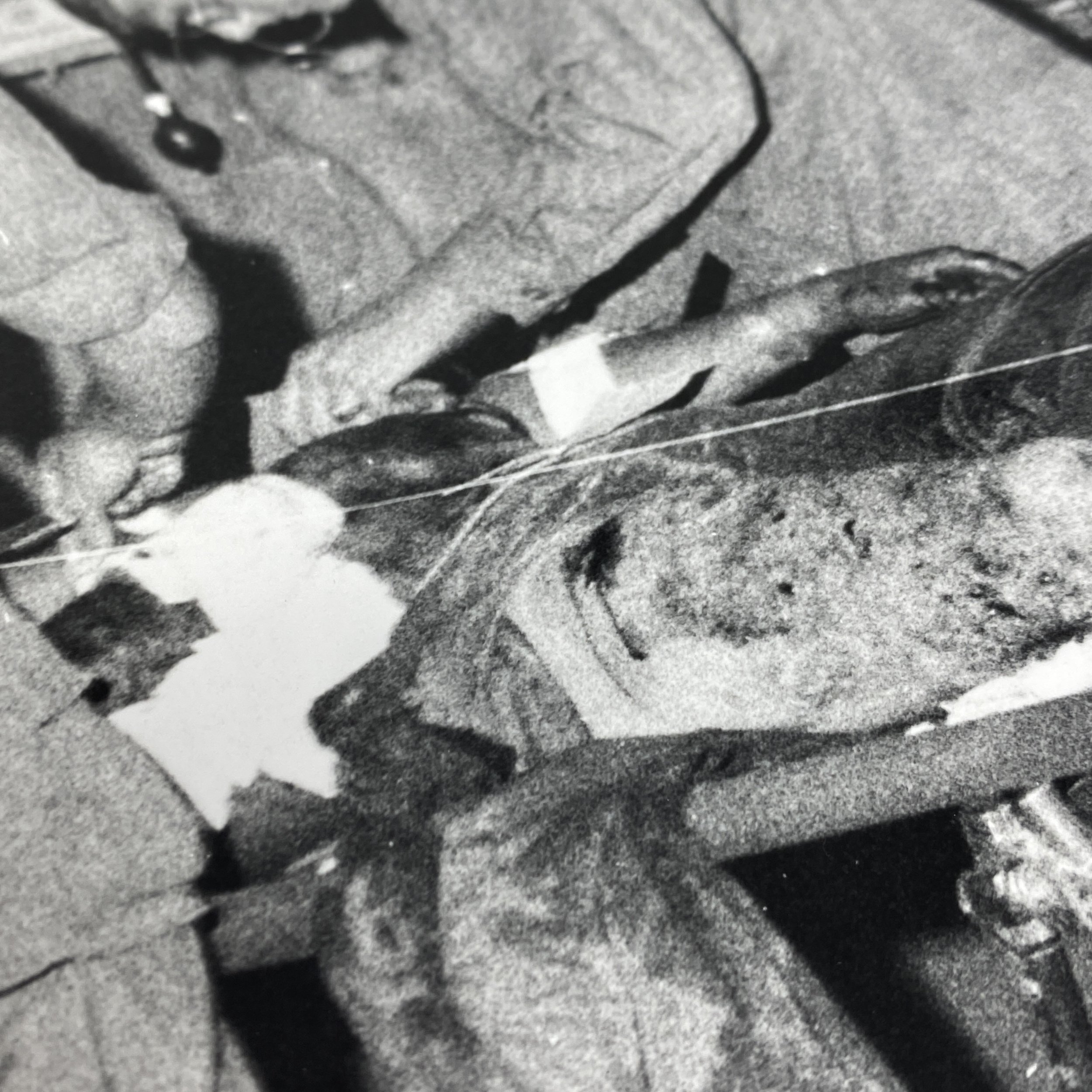 IMG_2567.JPG