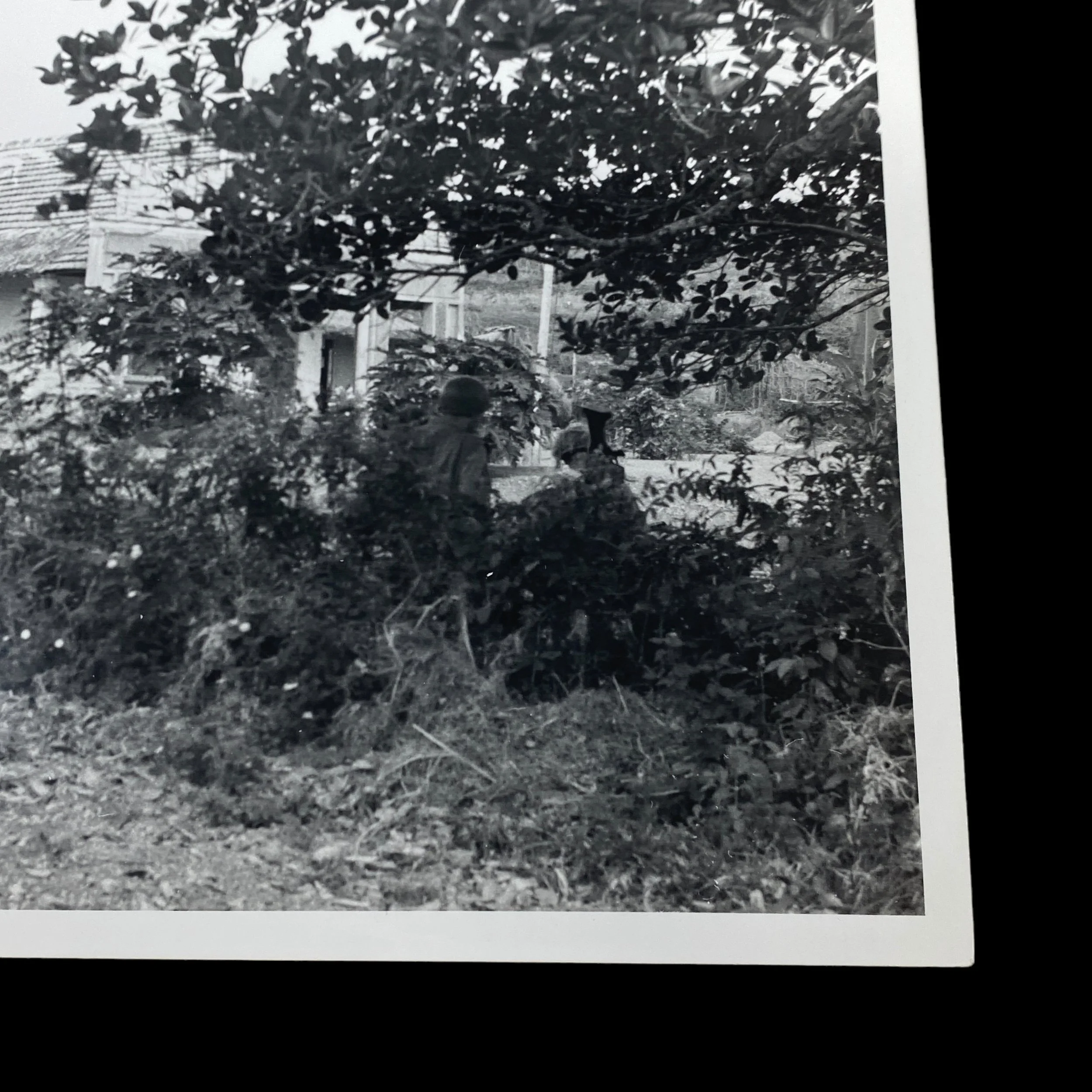 PhotoRoom_128_20240307_105124.JPG