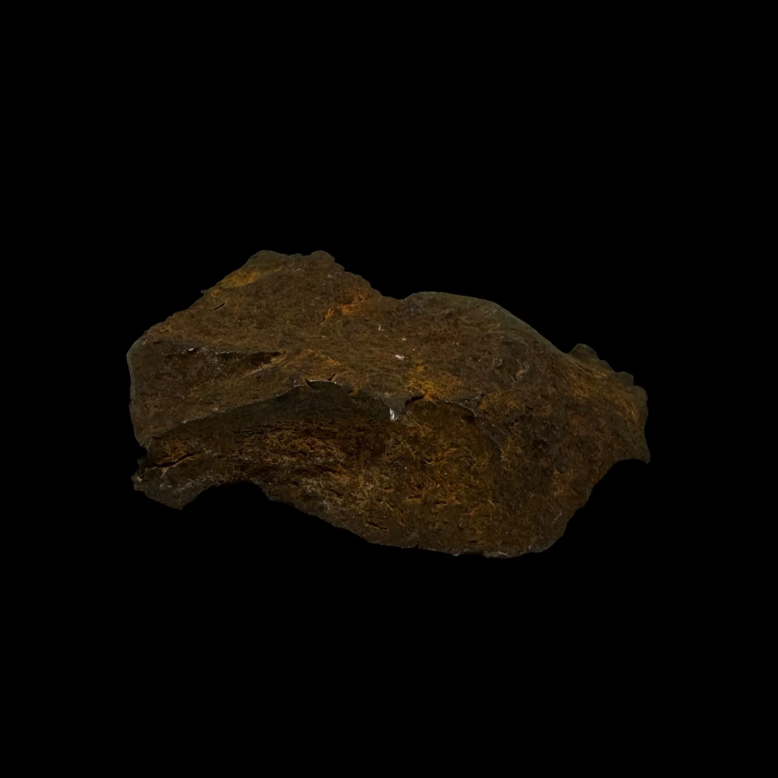 Photoroom_088_20240327_153934.JPG