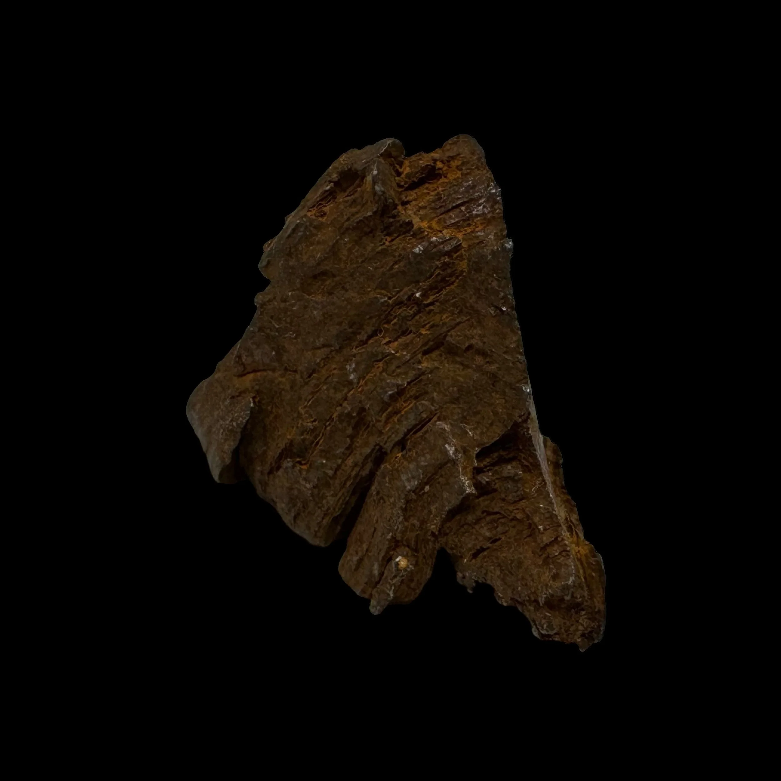 Photoroom_097_20240327_180743.JPG