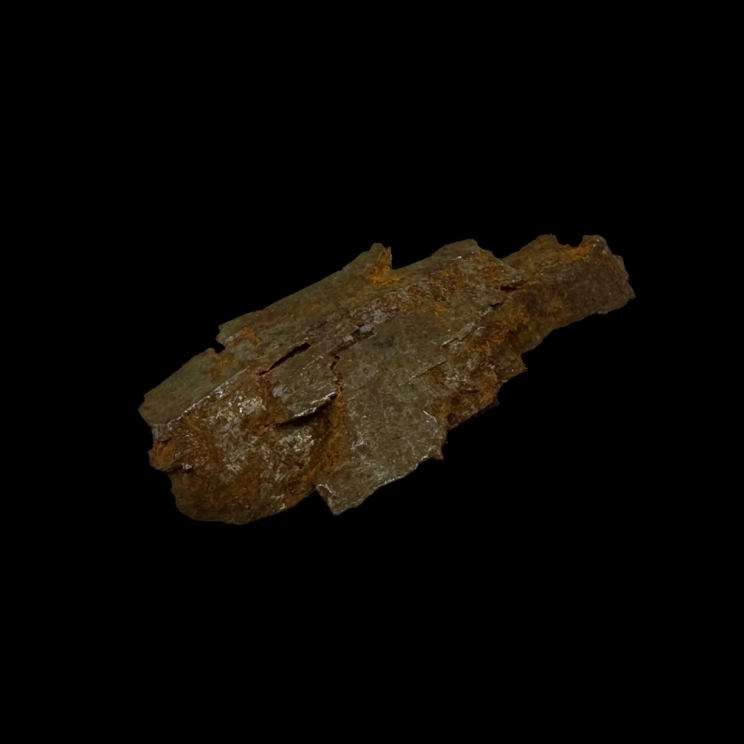 Photoroom_078_20240328_102705.JPG