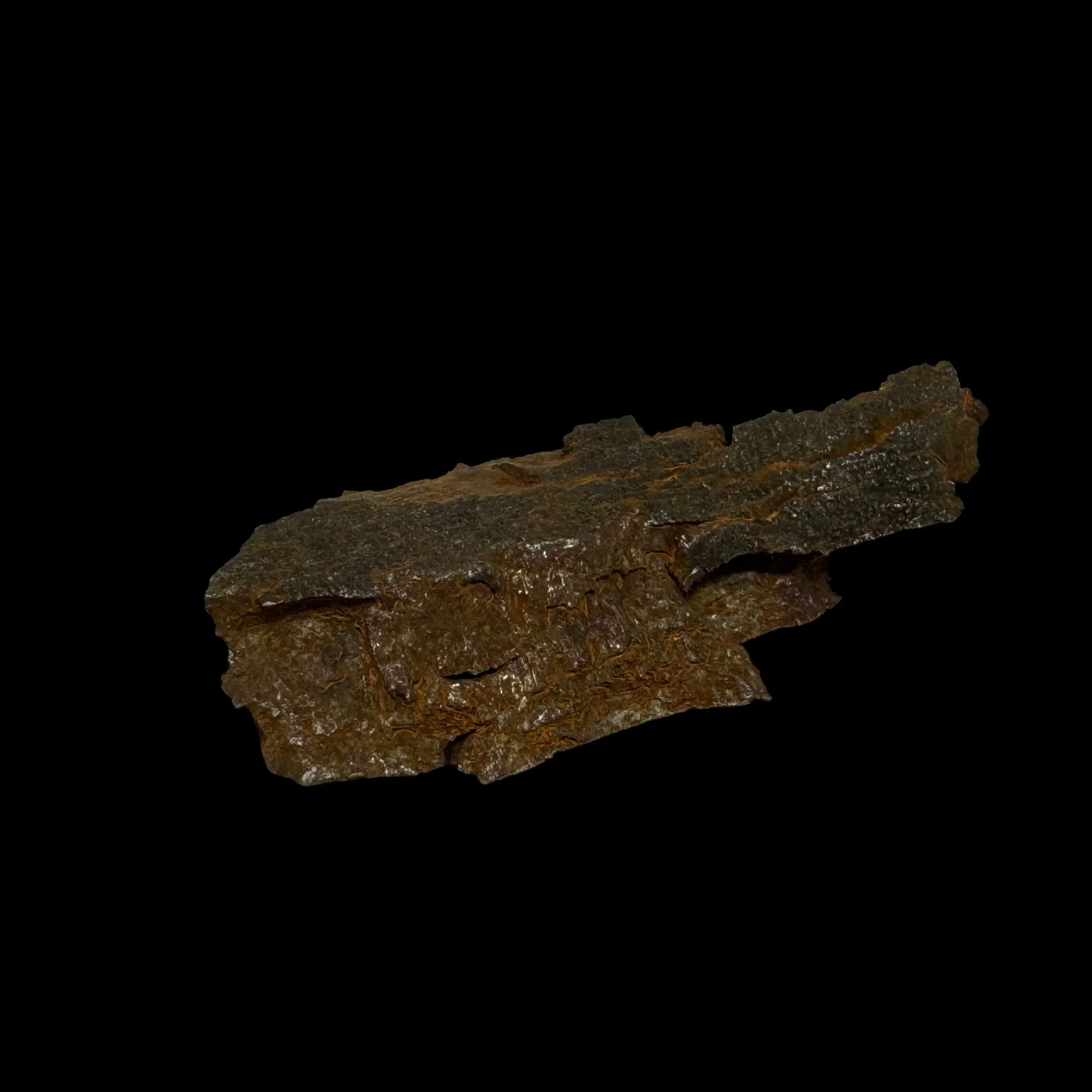 Photoroom_086_20240328_102705.JPG