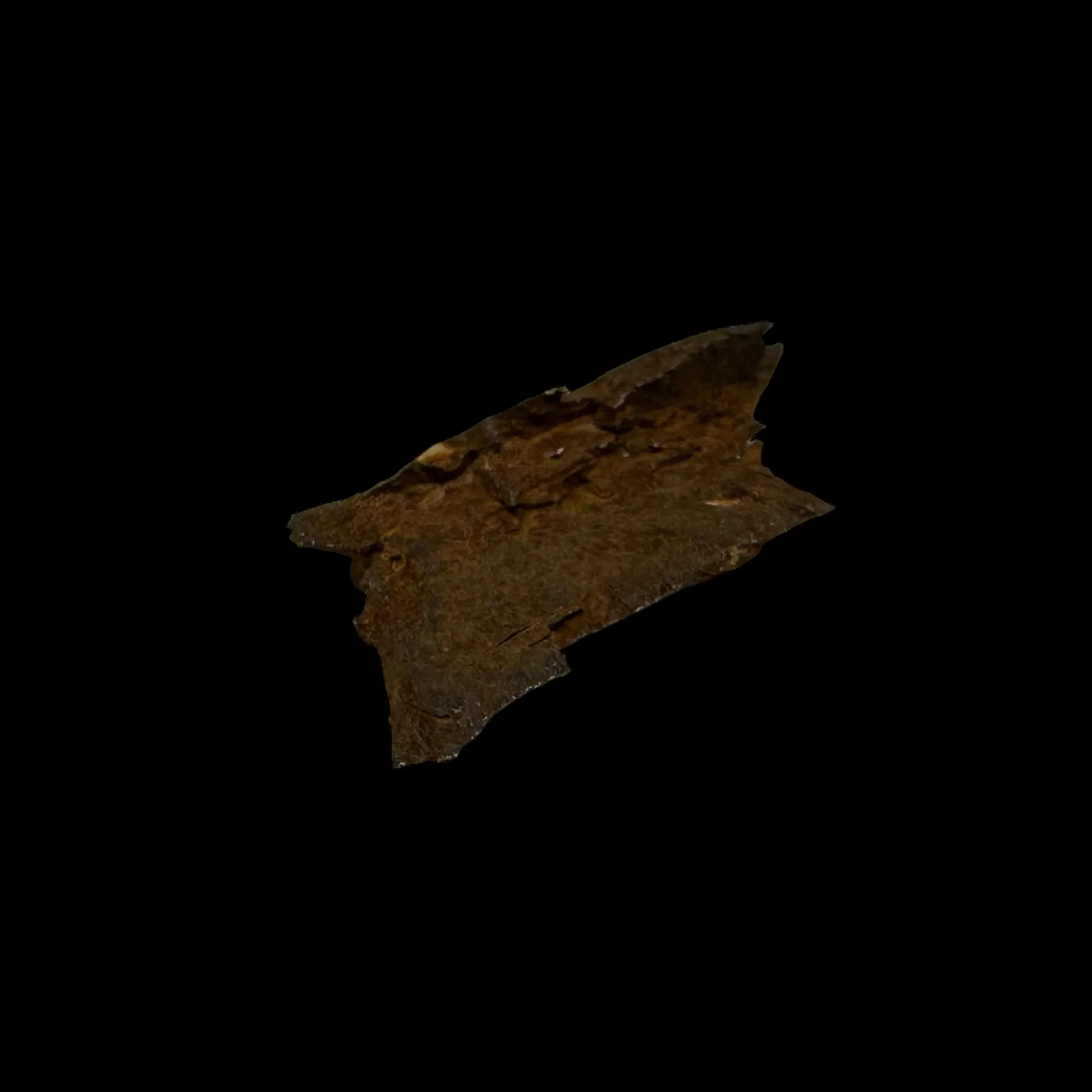 Photoroom_078_20240328_182914.JPG