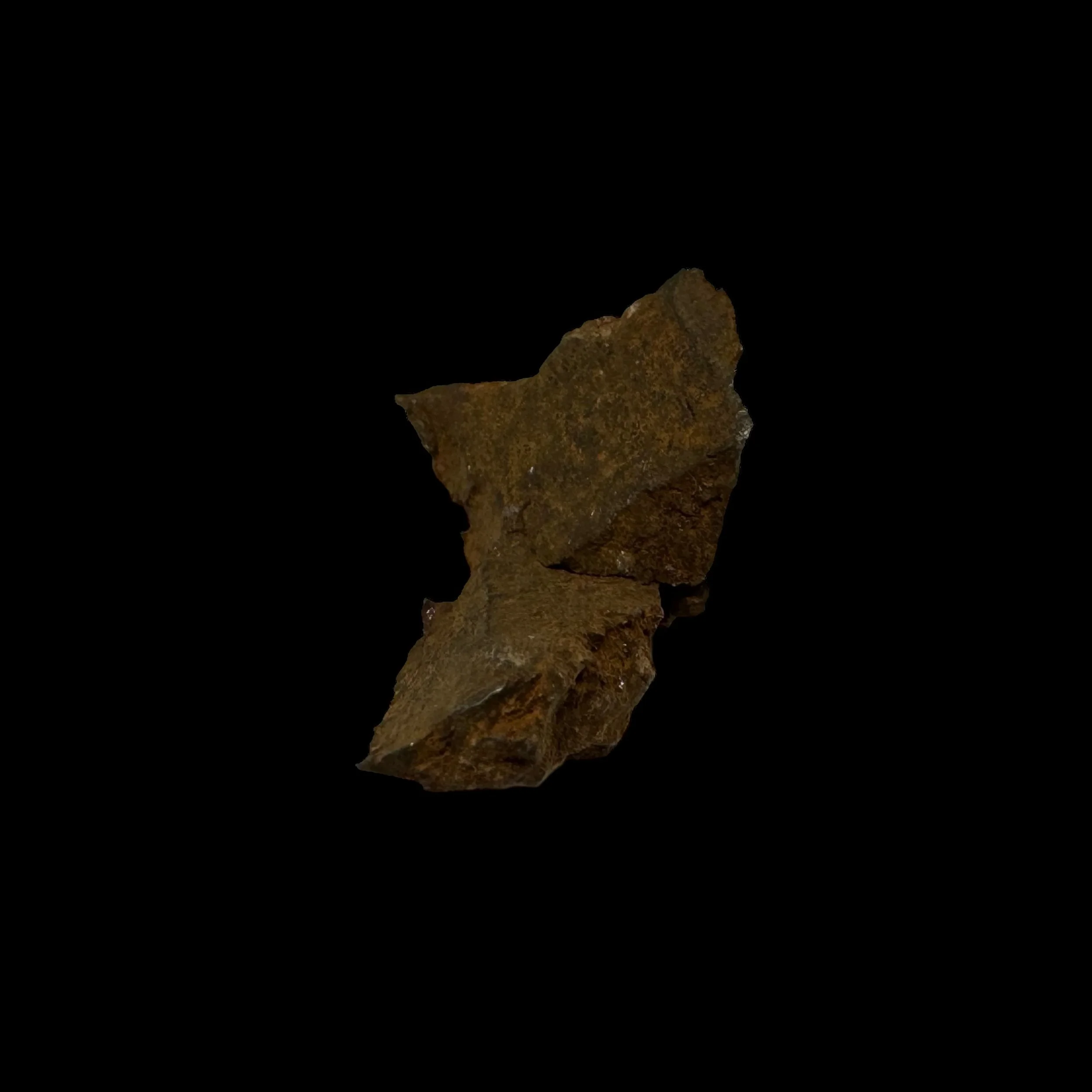 Photoroom_085_20240328_182914.JPG