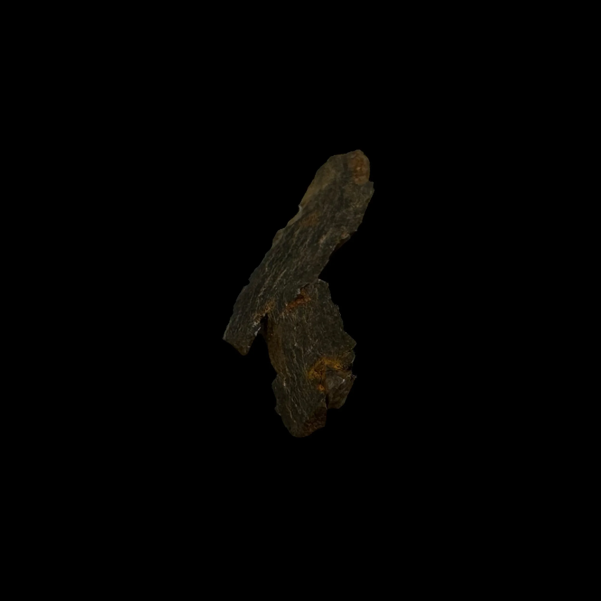 Photoroom_116_20240328_182914.JPG