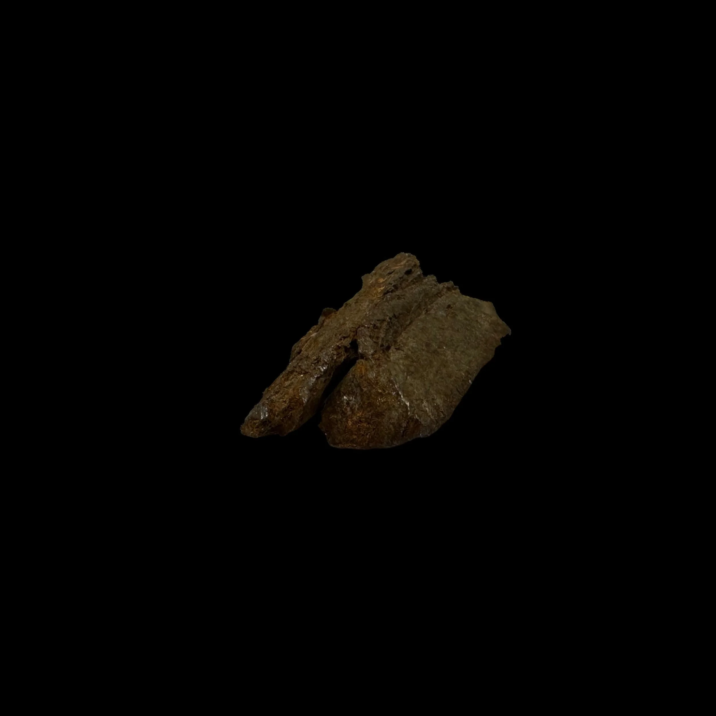 Photoroom_134_20240328_182914.JPG
