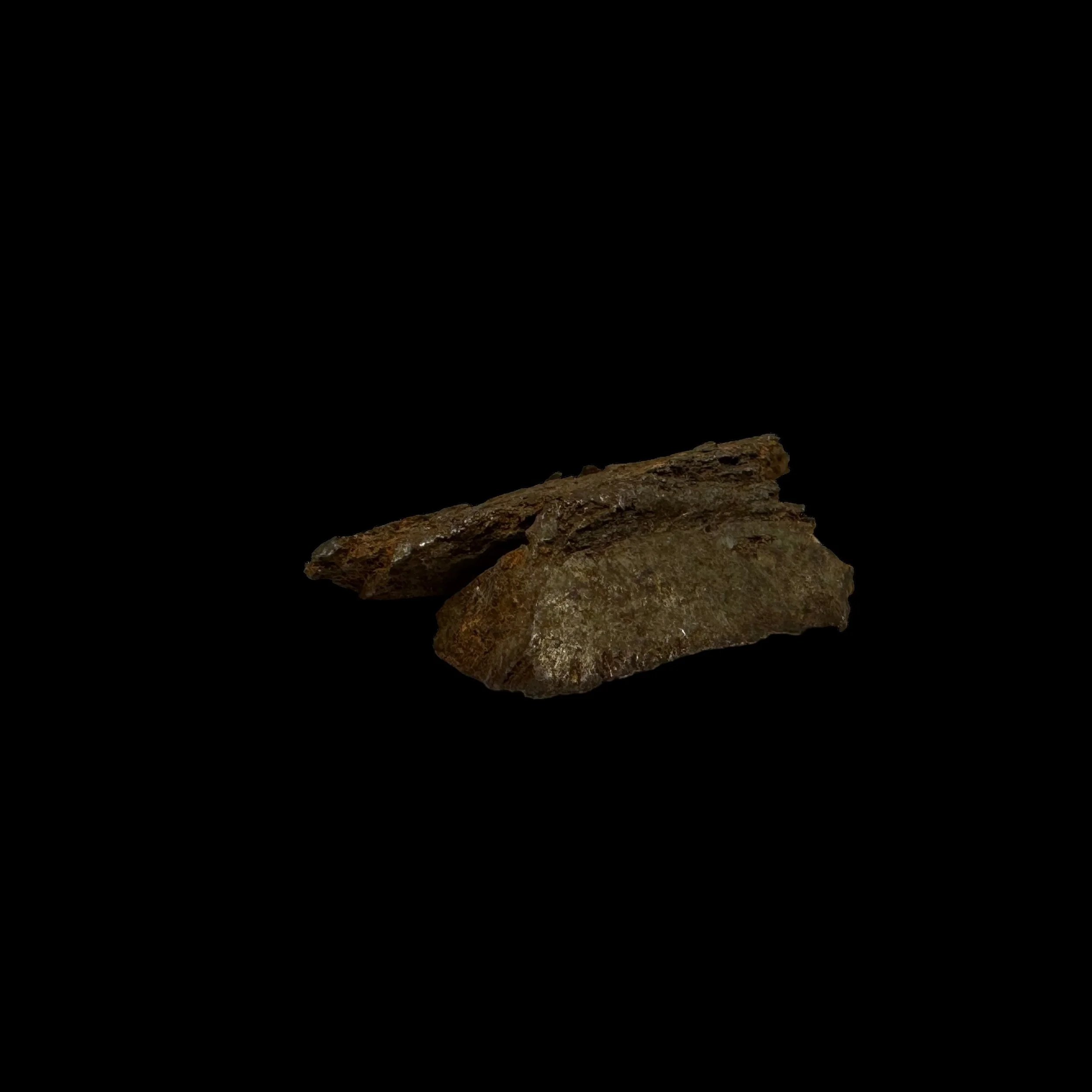 Photoroom_135_20240328_182914.JPG