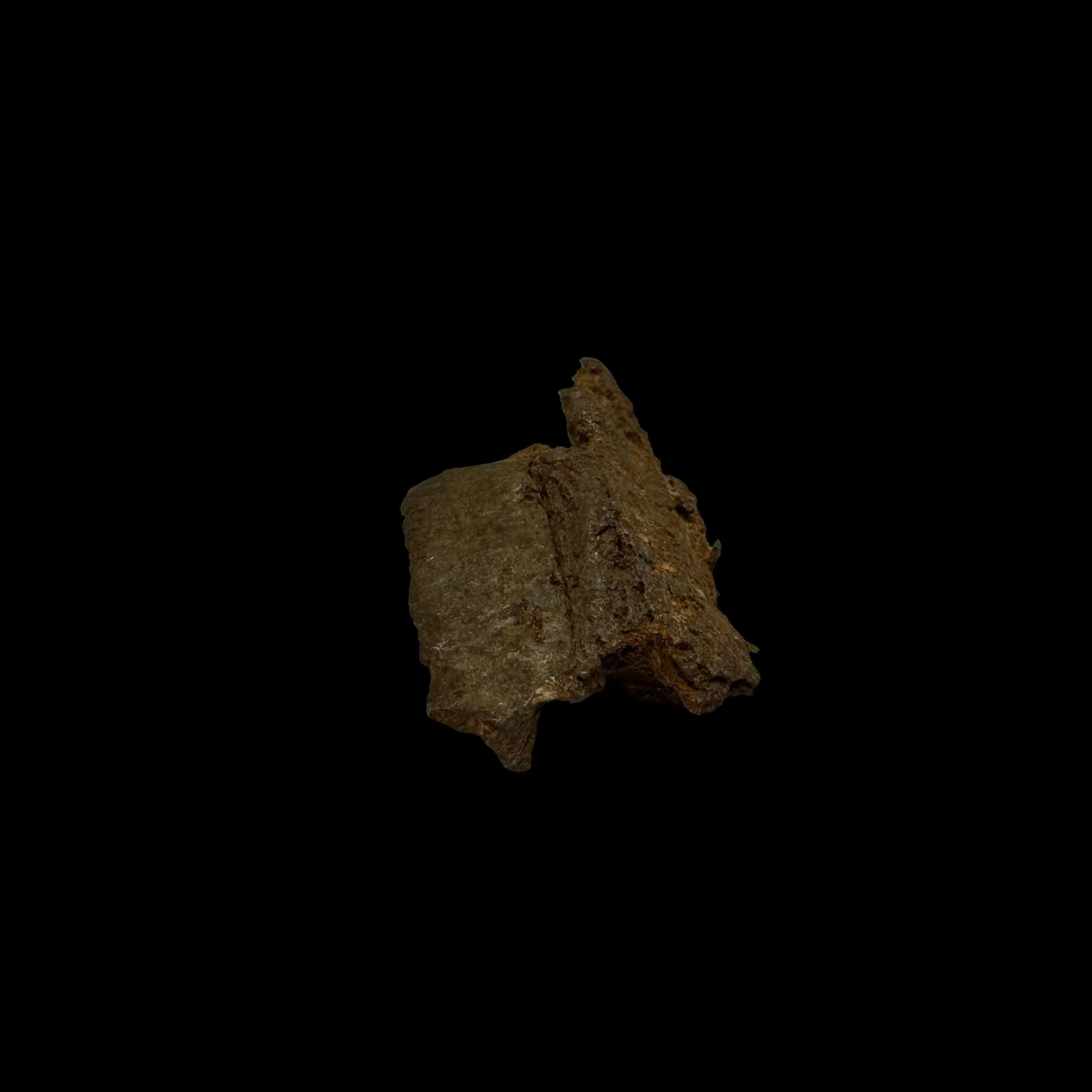 Photoroom_137_20240328_182914.JPG