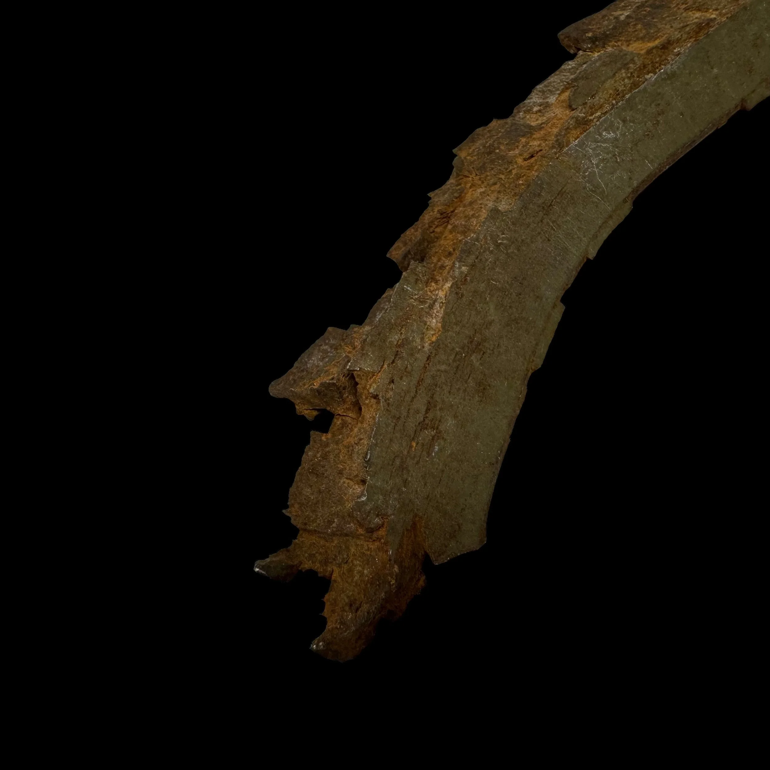 Photoroom_064_20240329_161547.JPG