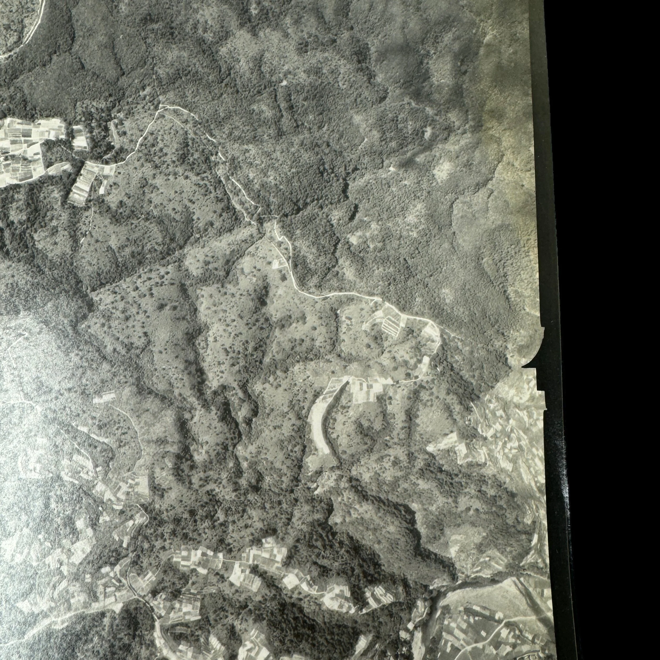 Photoroom_095_20240502_175649.JPG