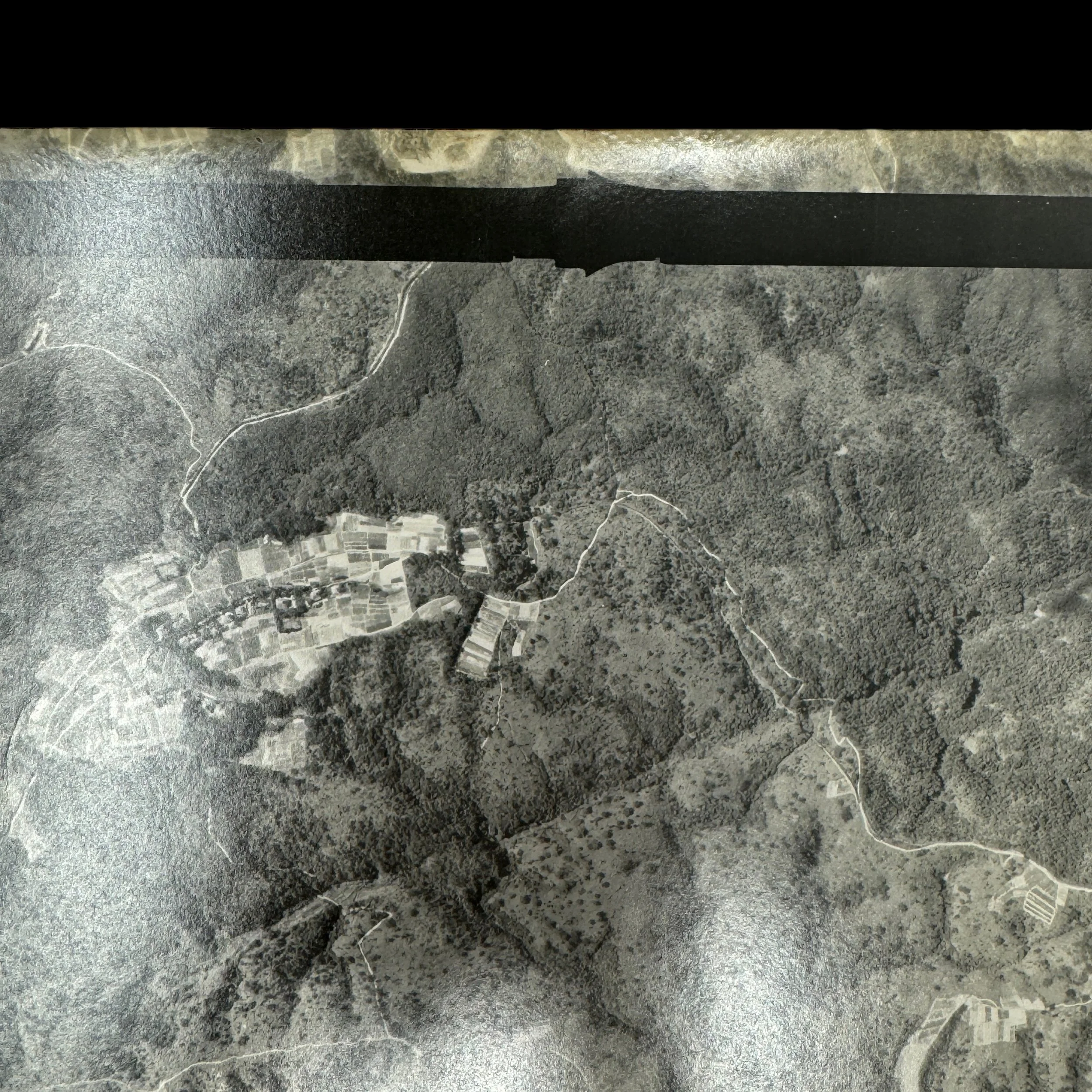 Photoroom_093_20240502_175649.JPG