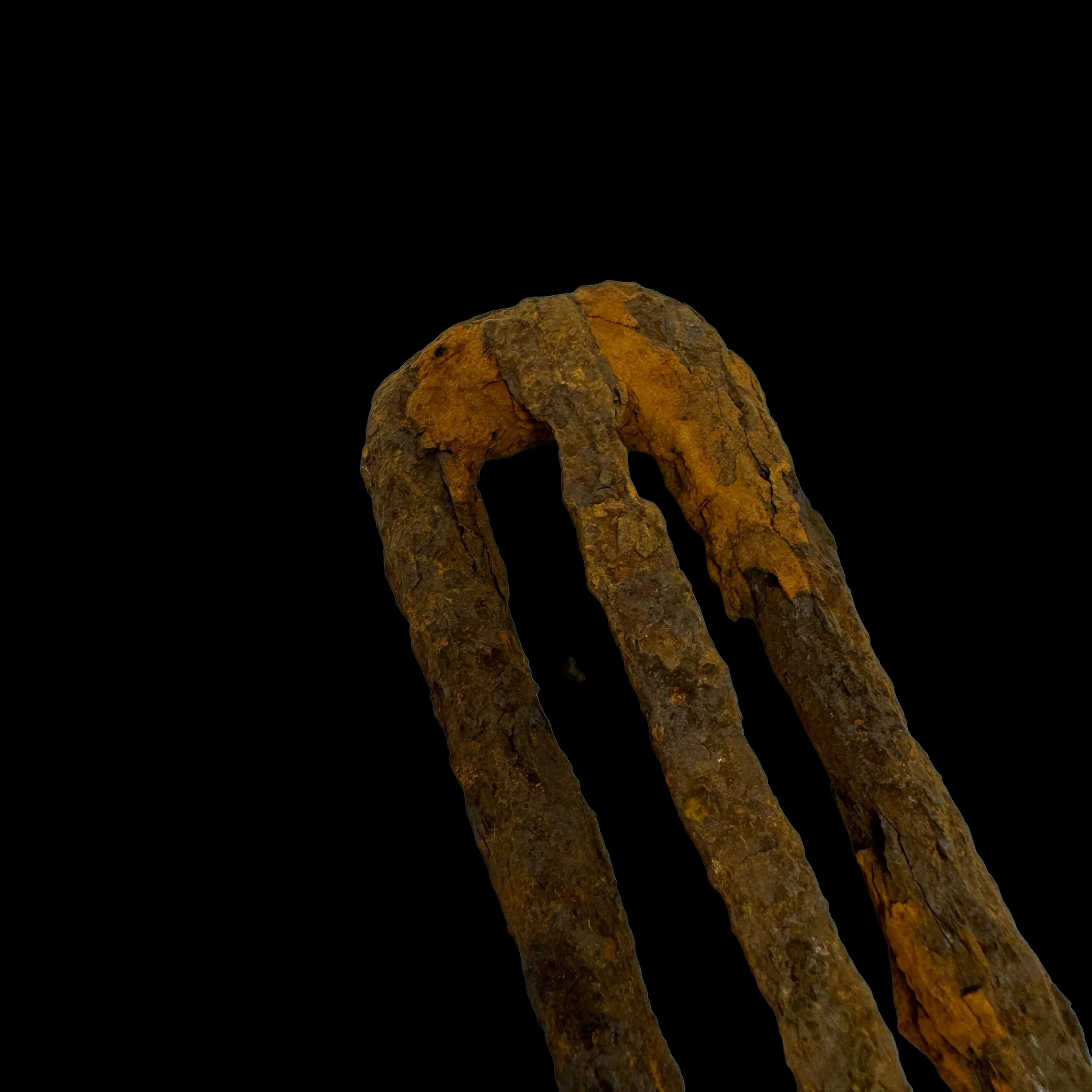 Photoroom_158_20240509_115728.JPG