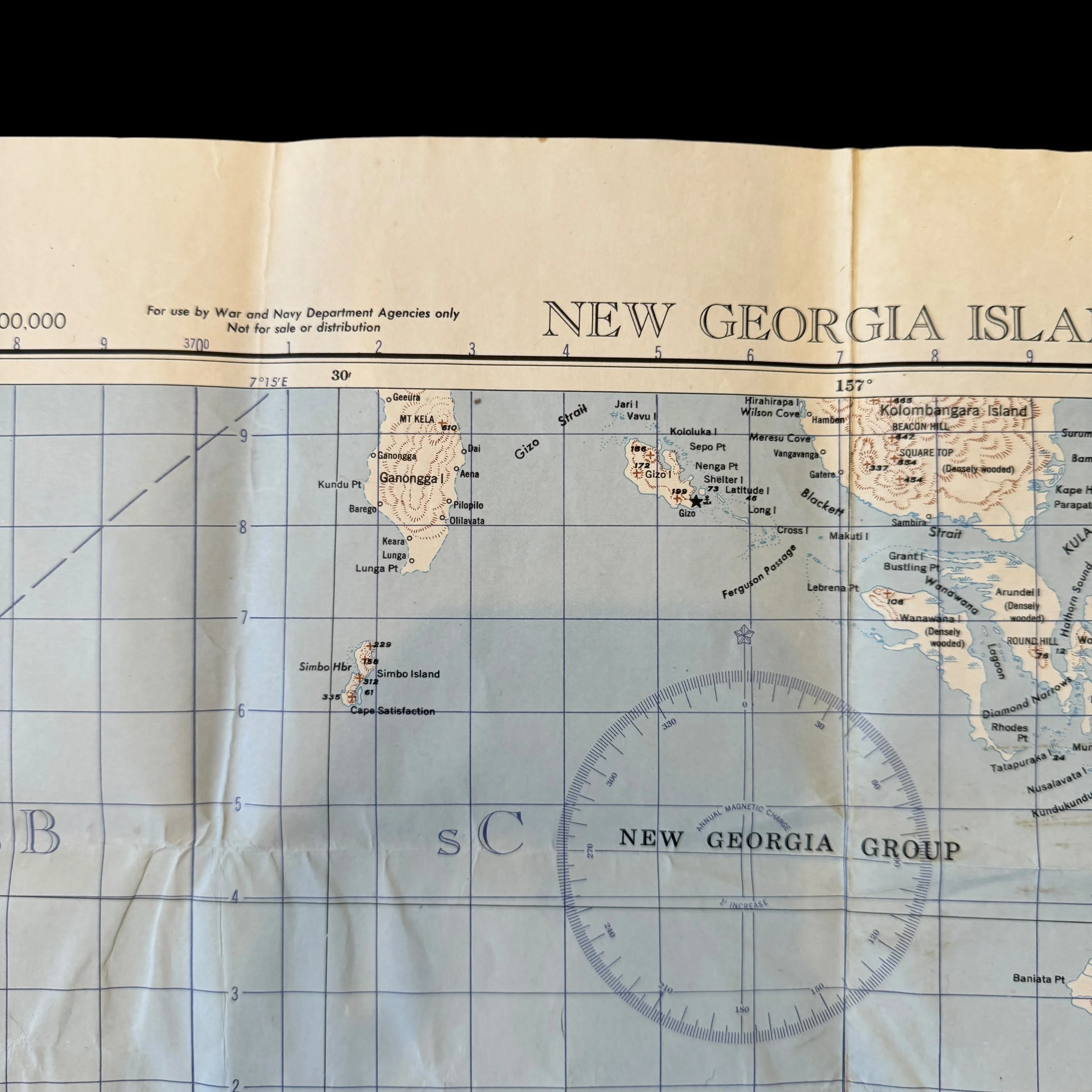 Photoroom_081_20240601_120330.JPG