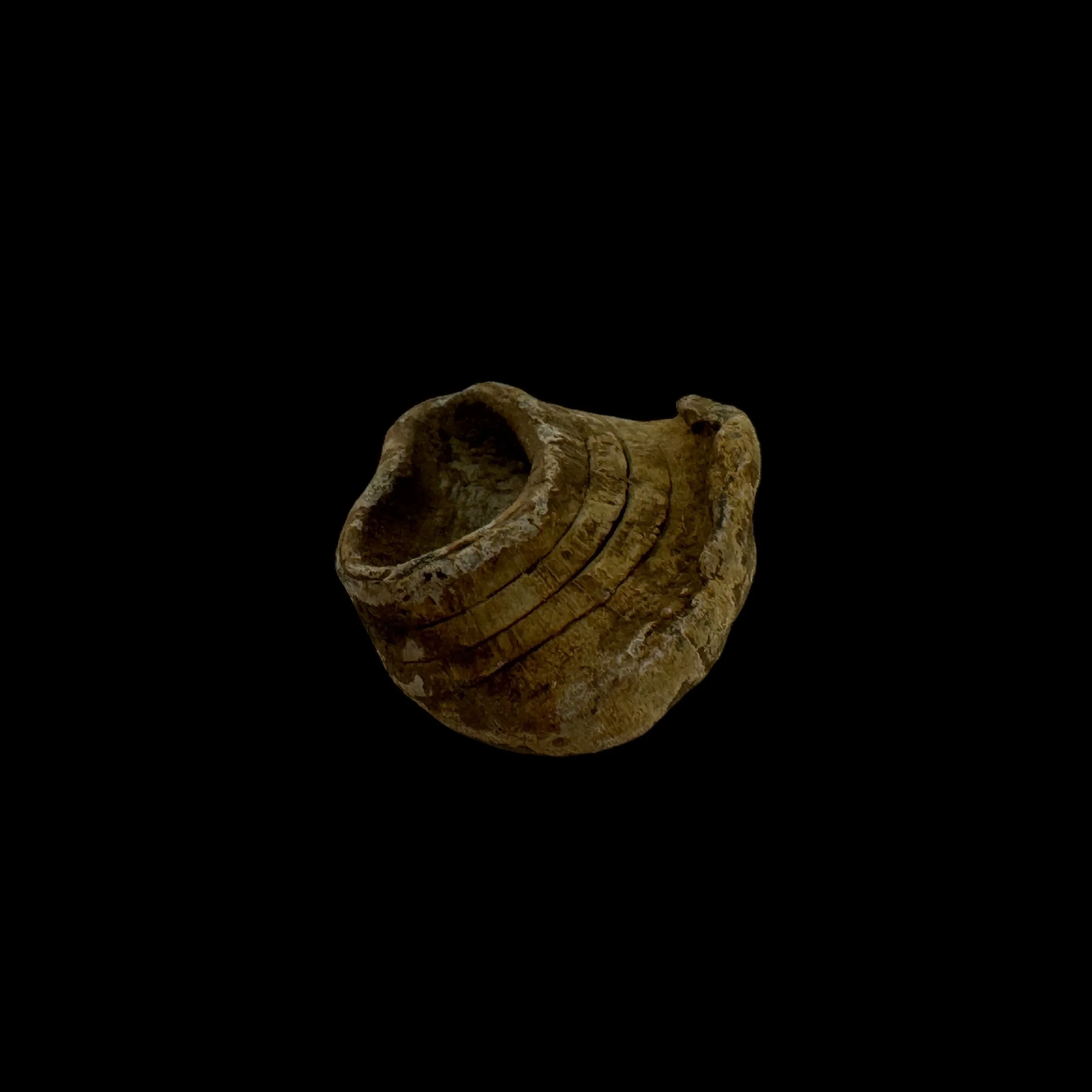 Photoroom_032_20240610_202919.JPG