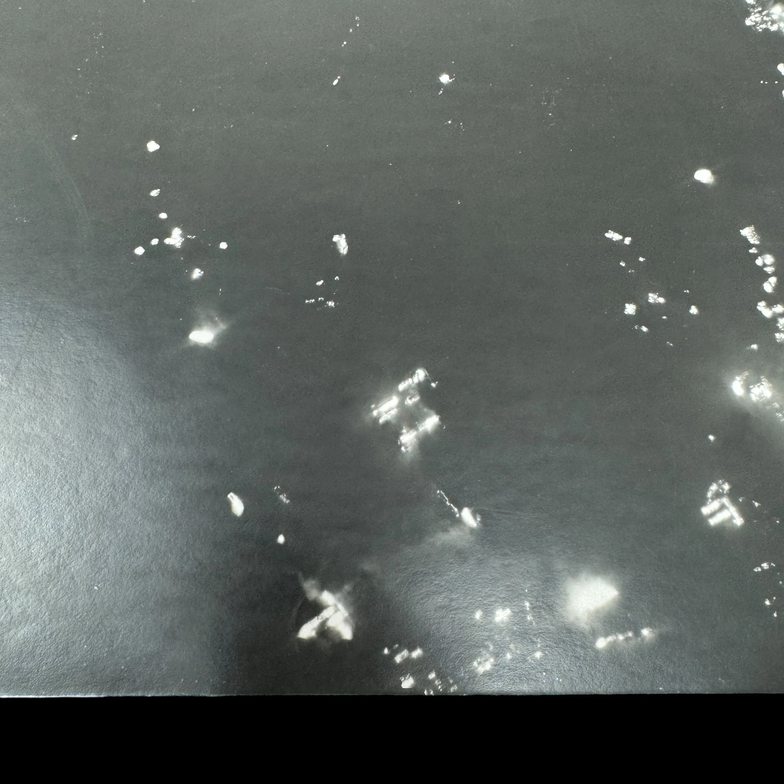 Photoroom_066_20240713_090304.JPG