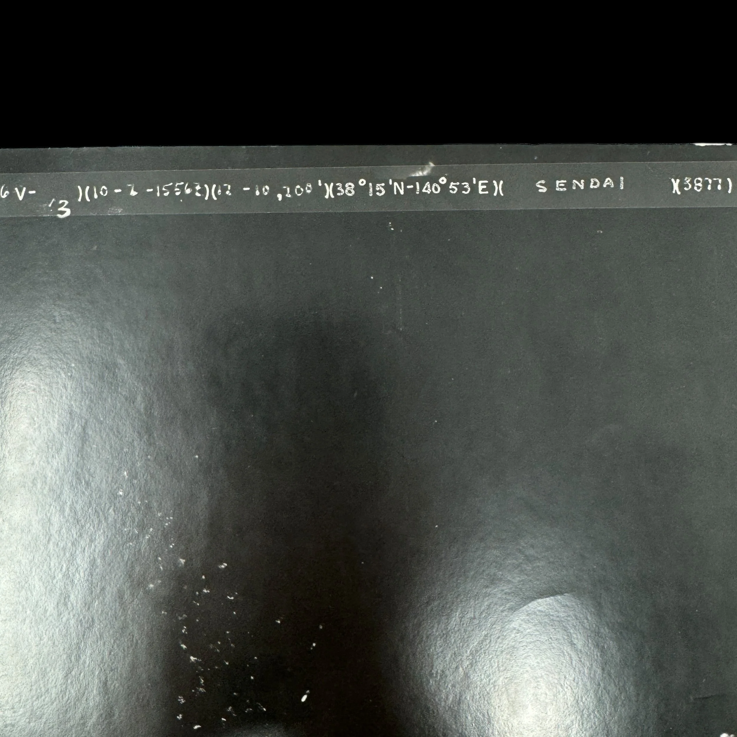 Photoroom_101_20240713_090304.JPG