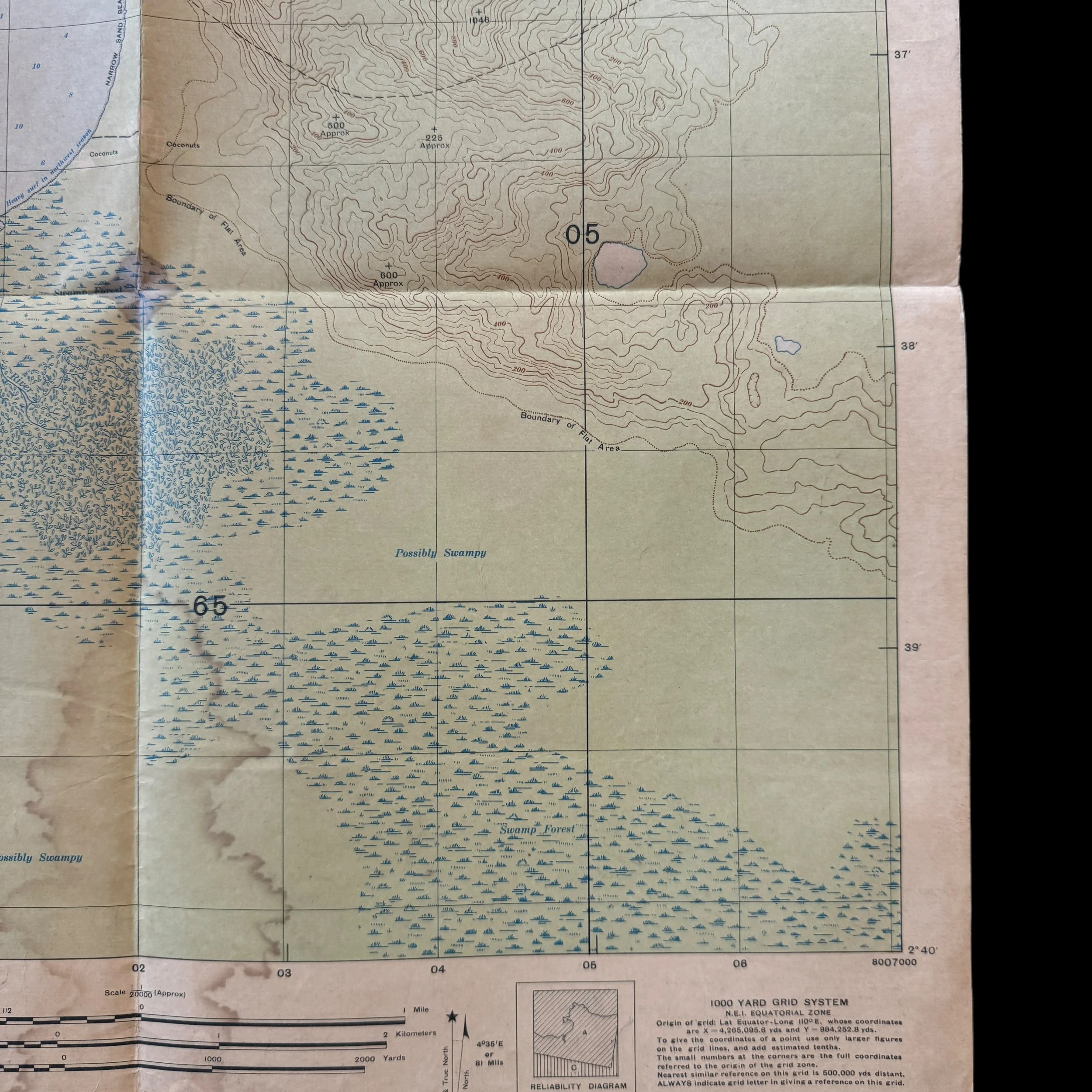 Photoroom_008_20240719_132706.JPG