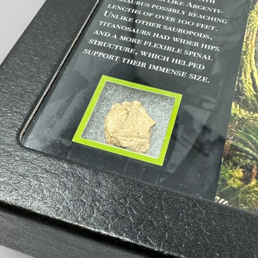 Photoroom_008_20240830_131152.JPG