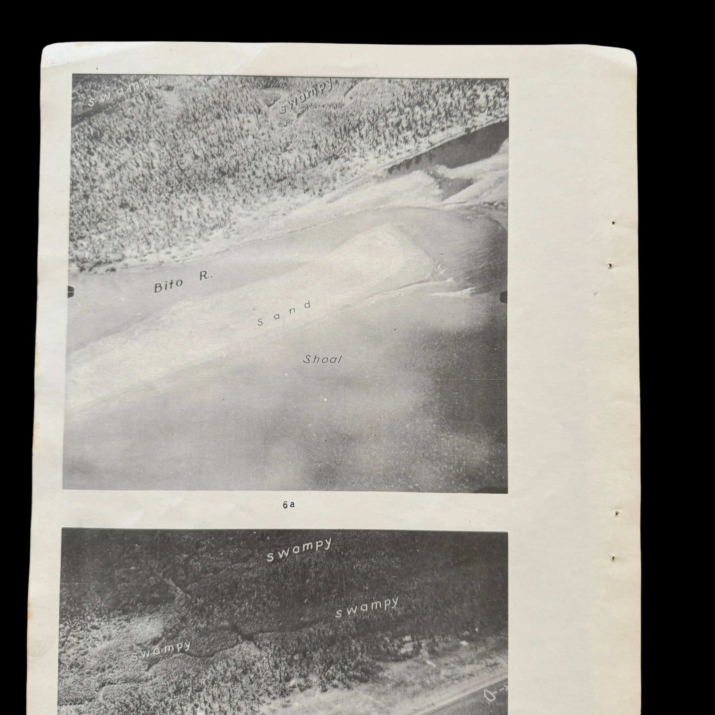 Photoroom_004_20240927_114816 2.JPG