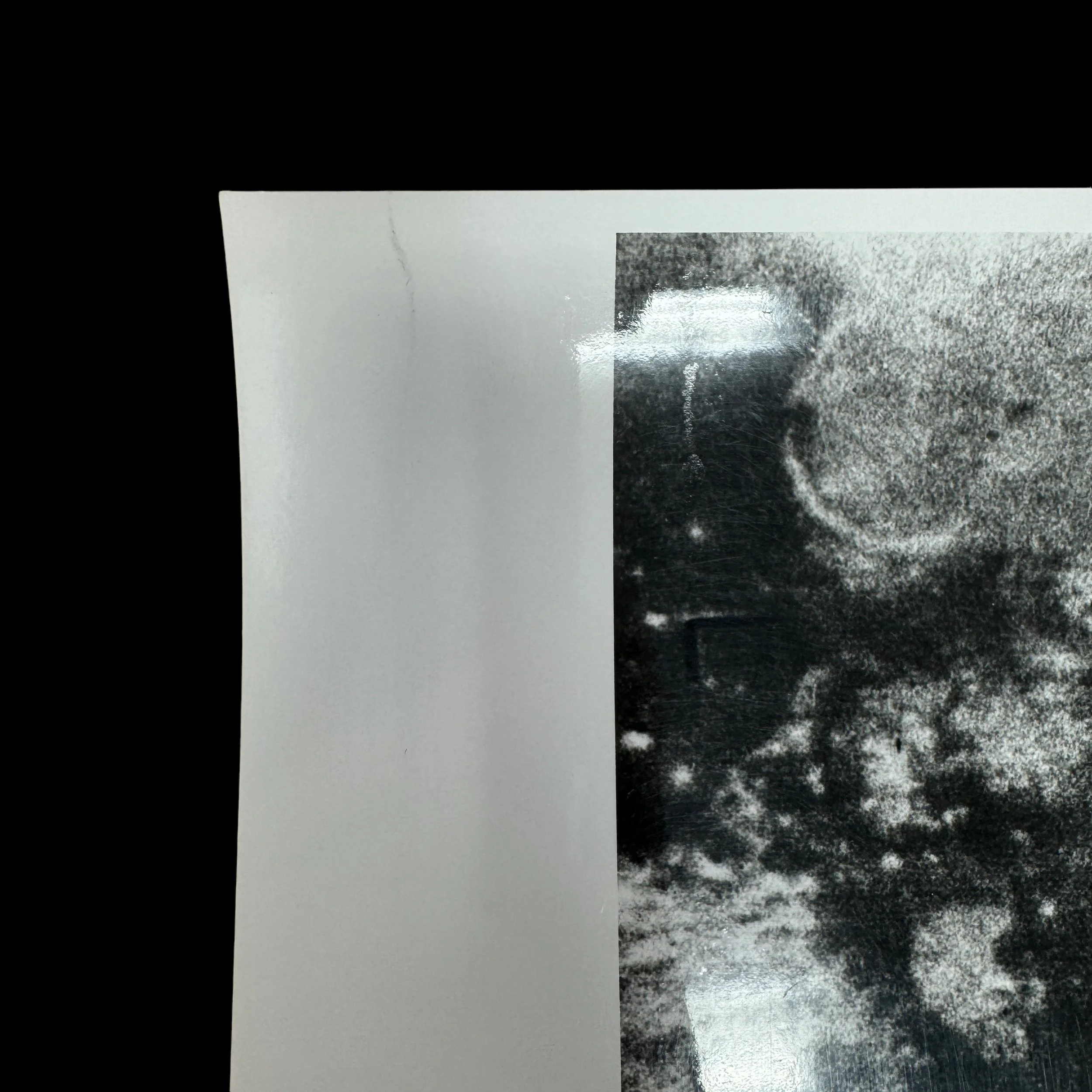 Photoroom_038_20241021_171519.JPG