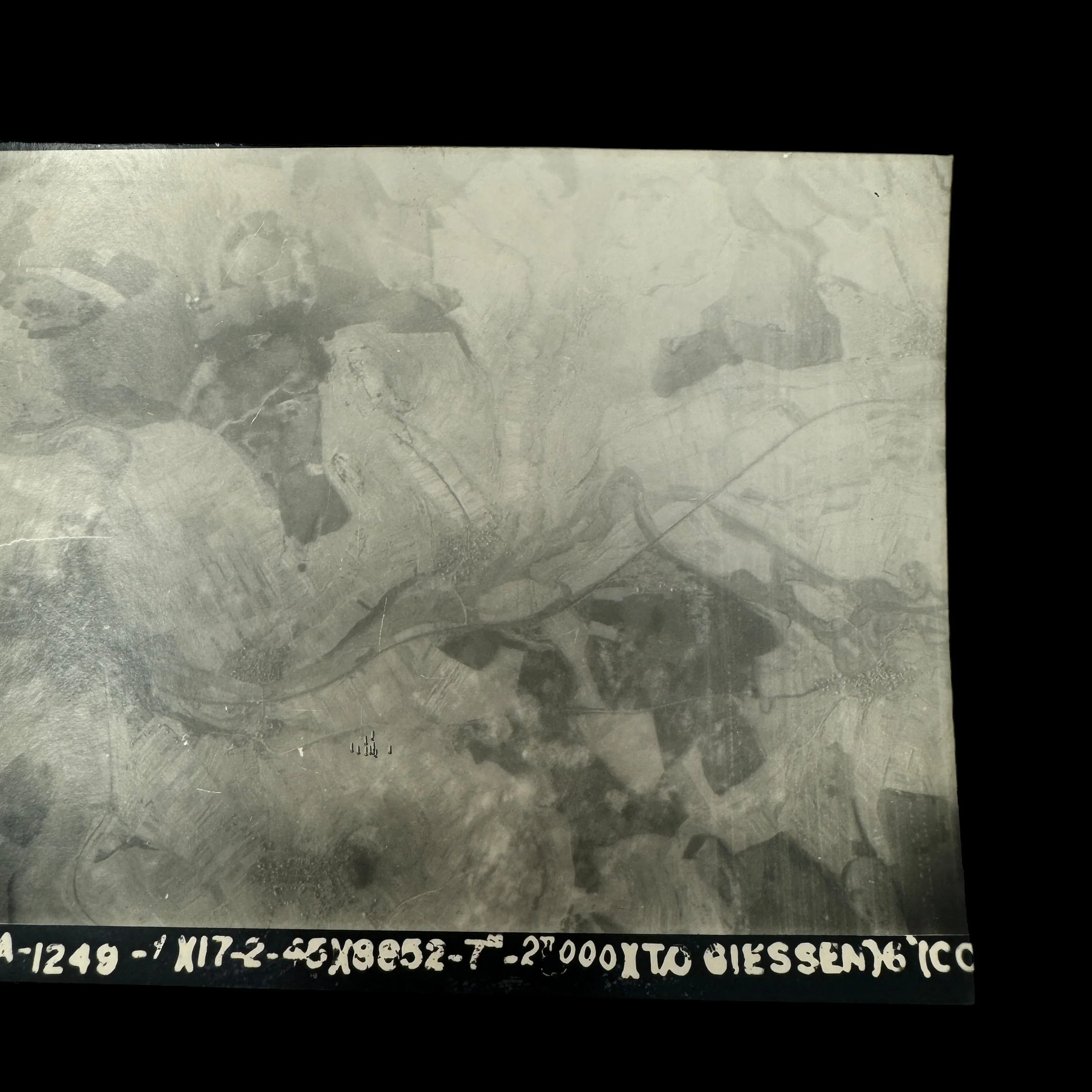 Photoroom_013_20250123_140111.JPG