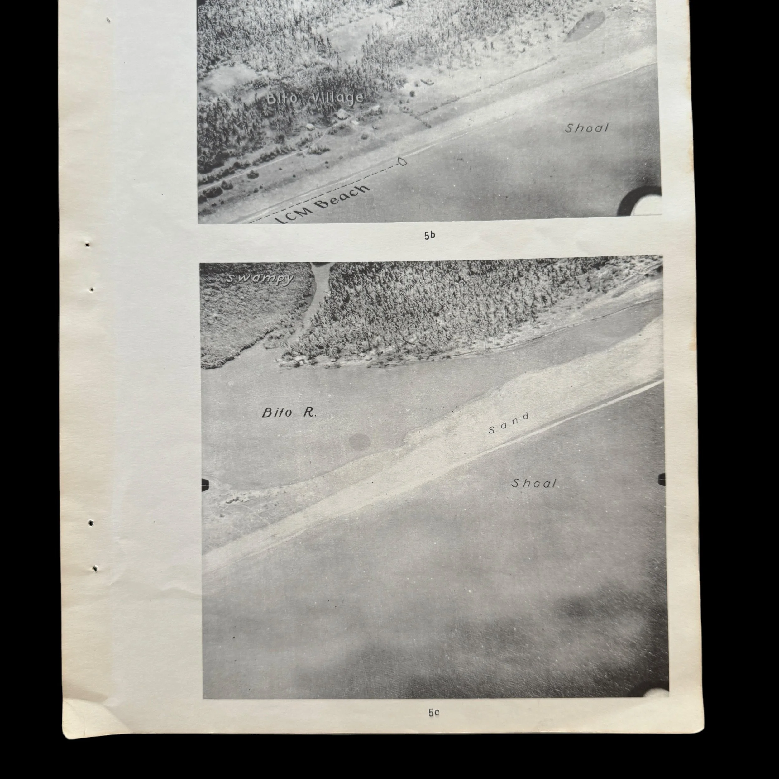 Photoroom_002_20240927_114816 2.JPG