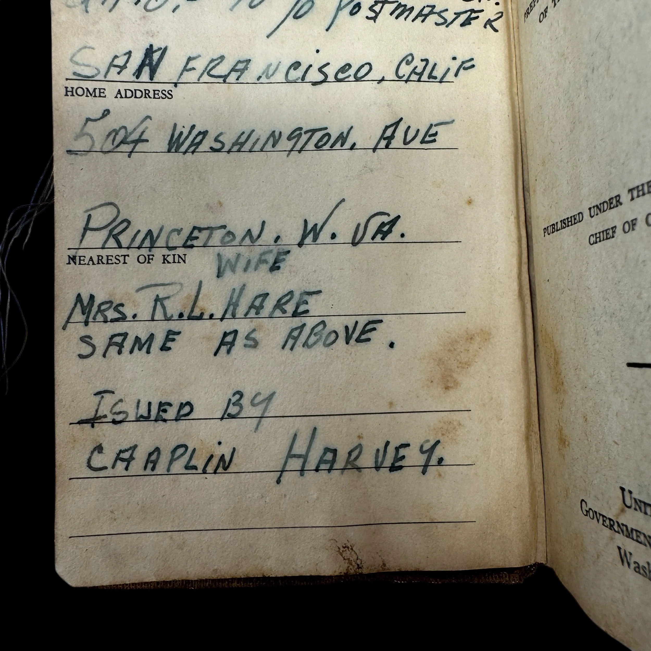 IMG_4206-Photoroom.JPG