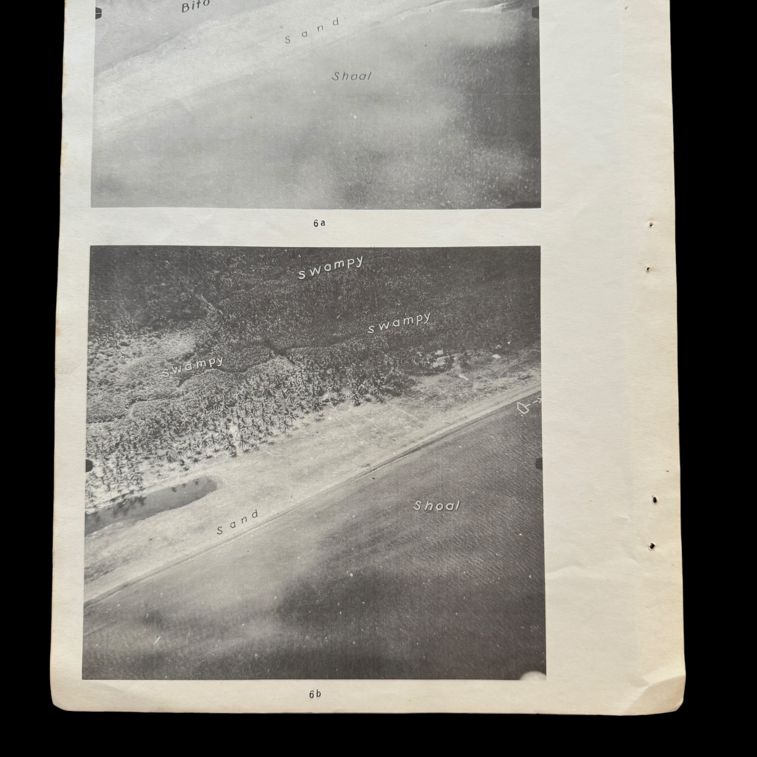 Photoroom_005_20240927_114816 2.JPG