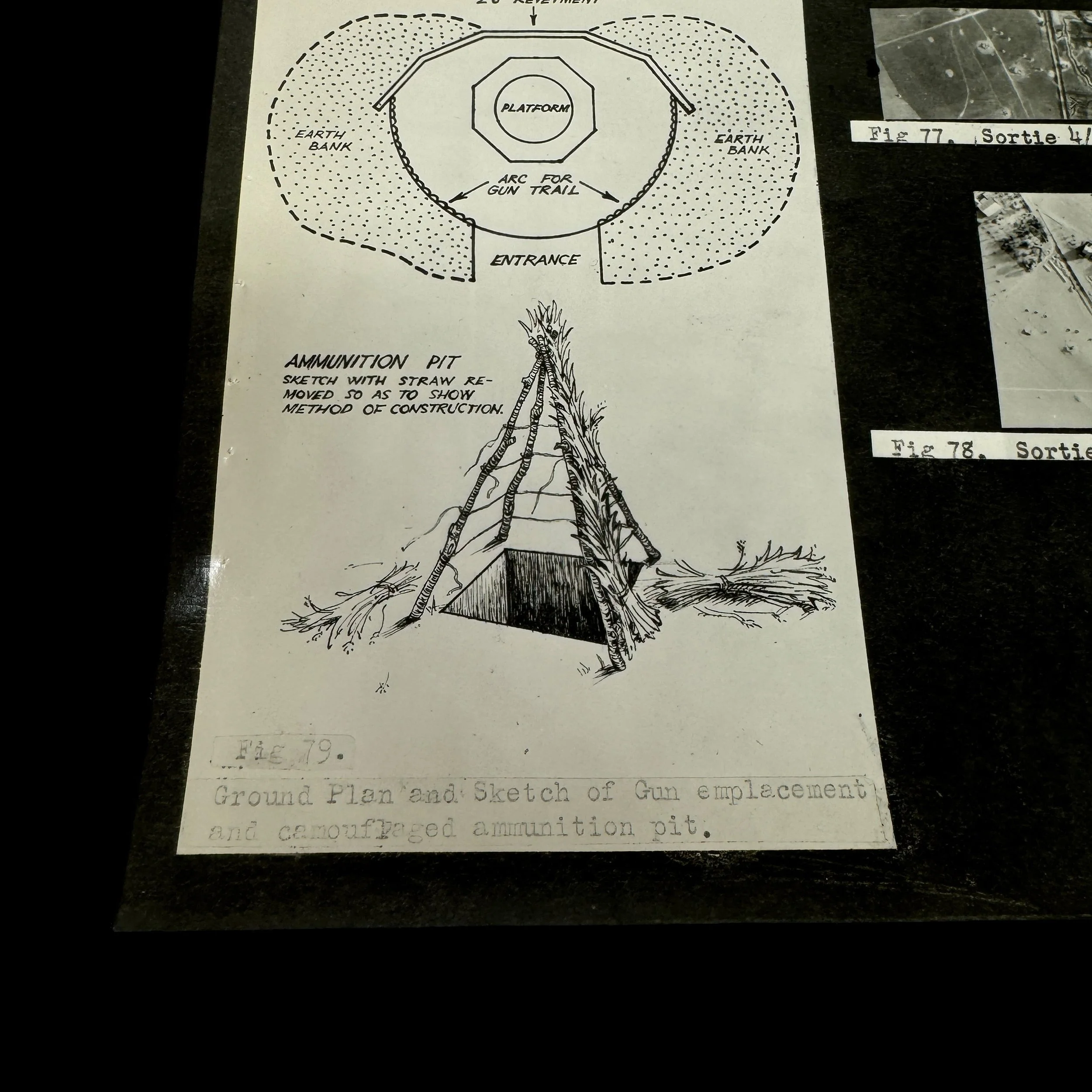 Photoroom_036_20240903_134600.JPG