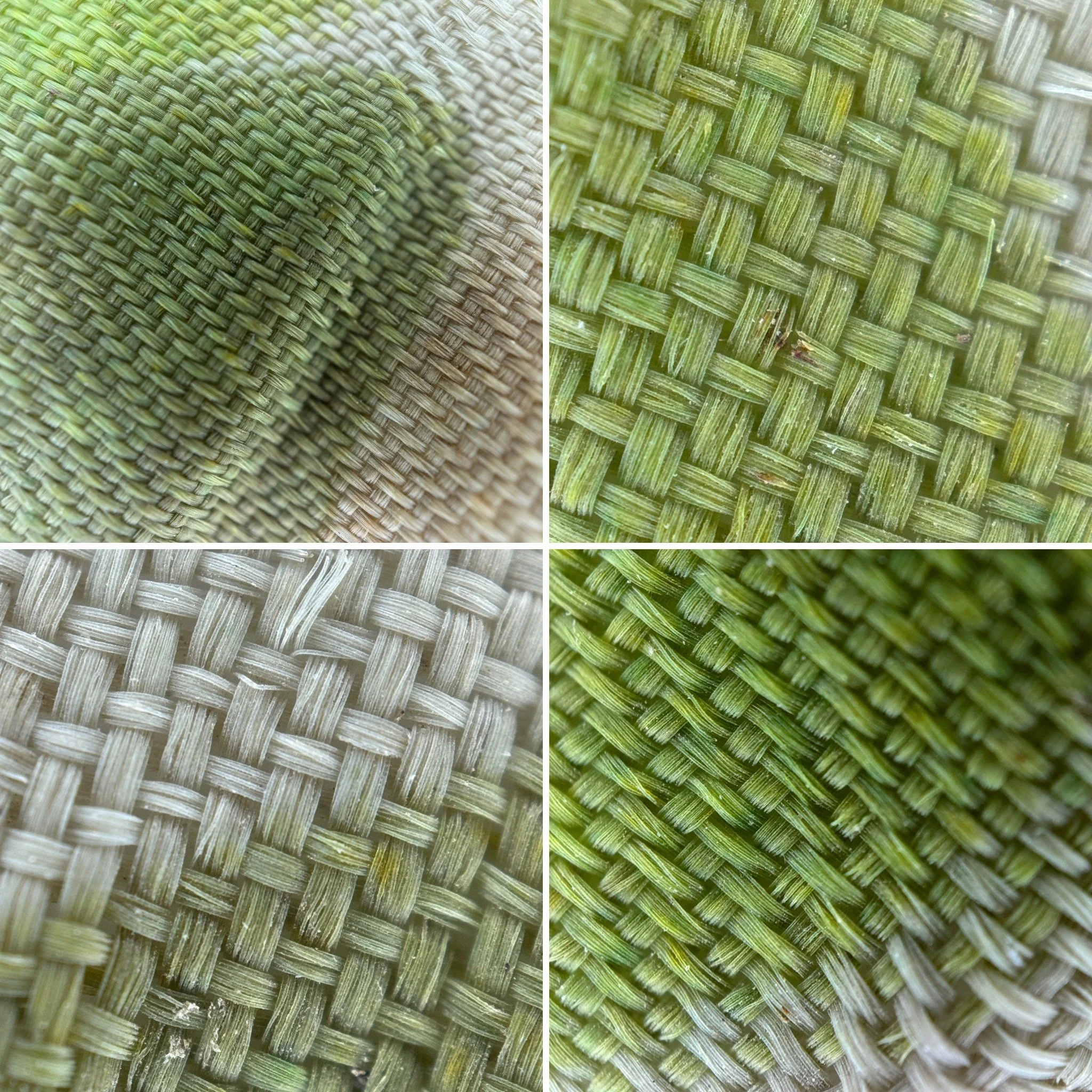 4DDEB97F-C49D-4219-A2ED-68CF642215DC 2.JPG