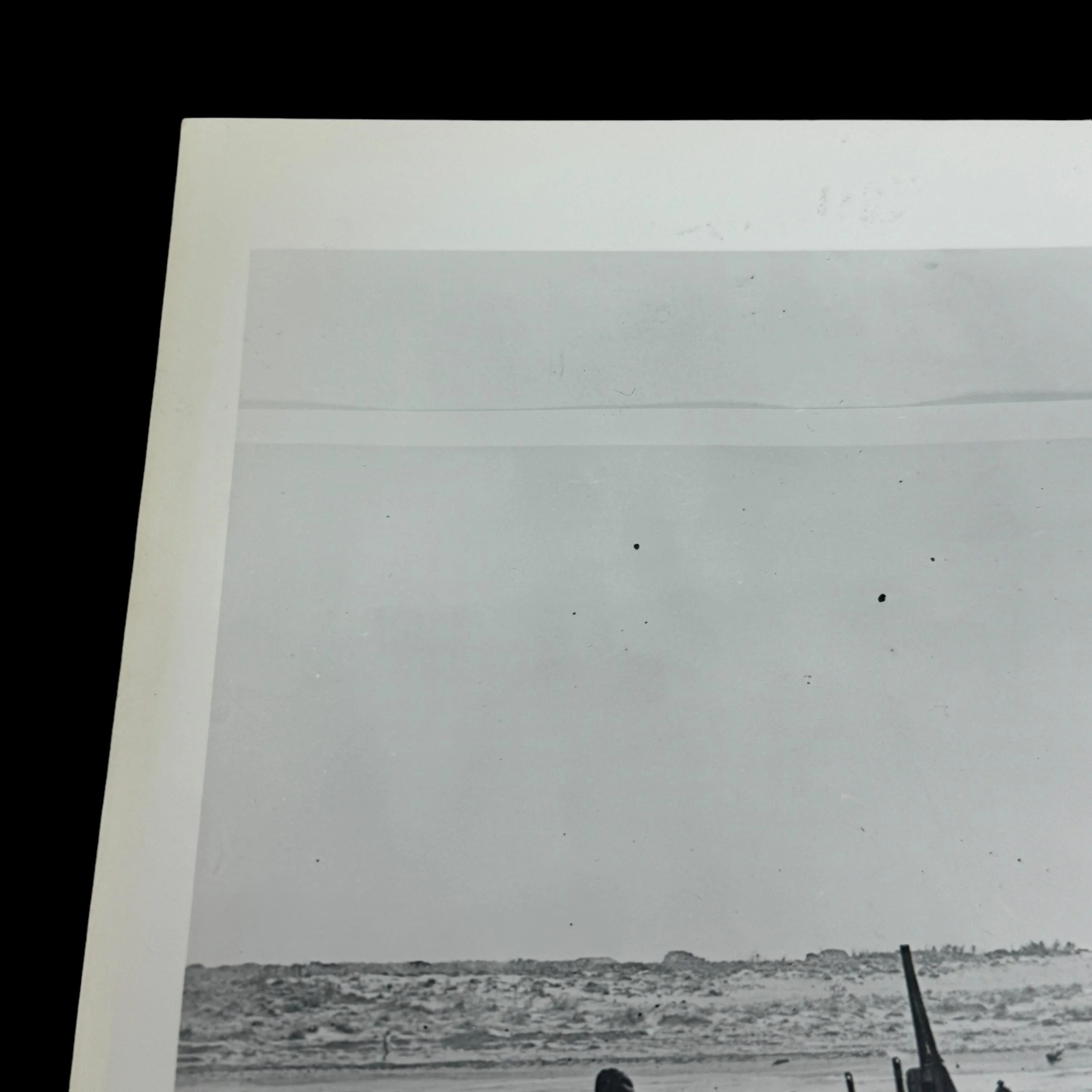 Photoroom_001_20241016_112256.JPG