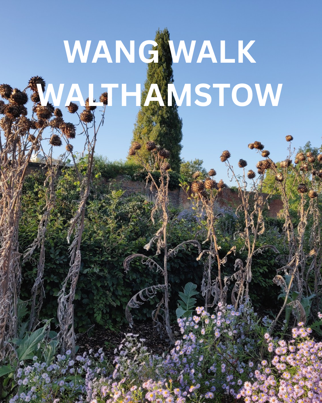 WANG WALK WALTHAMSTOW.png
