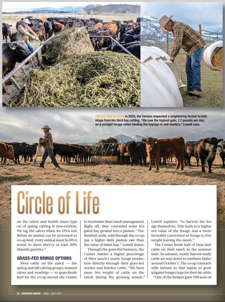 Working Ranch Magazine