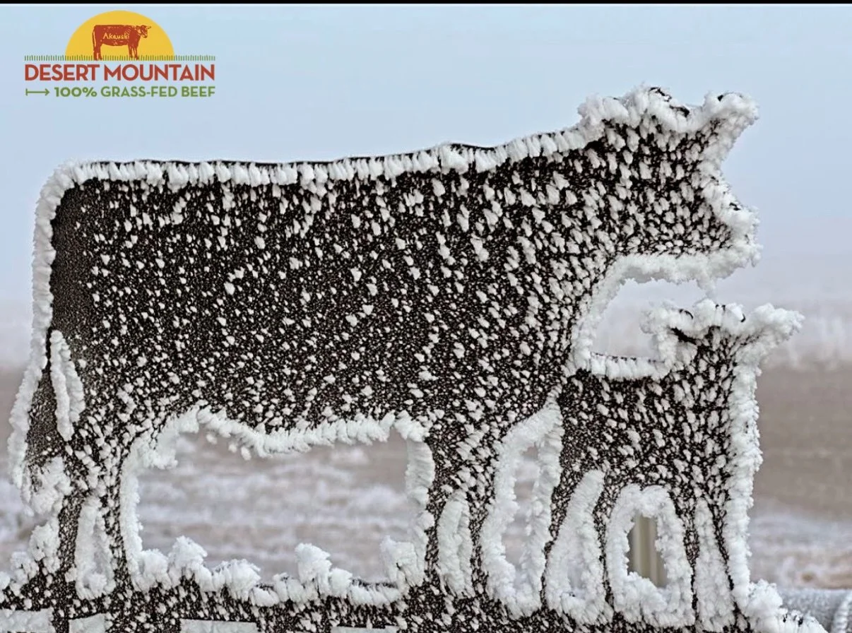 ❄️ Cold temps make for bitter morning chores. 
We&rsquo;re bundled up and checking the herd- breaking ice on water troughs and making sure all everyone is accounted for. 🤍

#grassfedbeef #idaho #akaushi #wagyu #winter