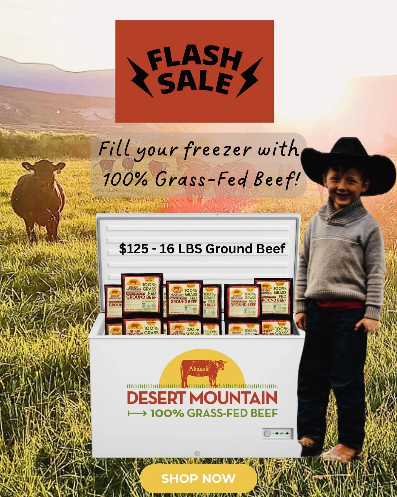 From our Idaho pastures to your freezer 🤍🌾
⚡️FLASH SALE⚡️
16 lbs 100% grass-fed &amp; finished ground beef &mdash; $125

Nutrient-dense, clean, and raised with care.
👉 Grab your bundle now&mdash;link in bio. When it&rsquo;s gone, it&rsquo;s gone!
