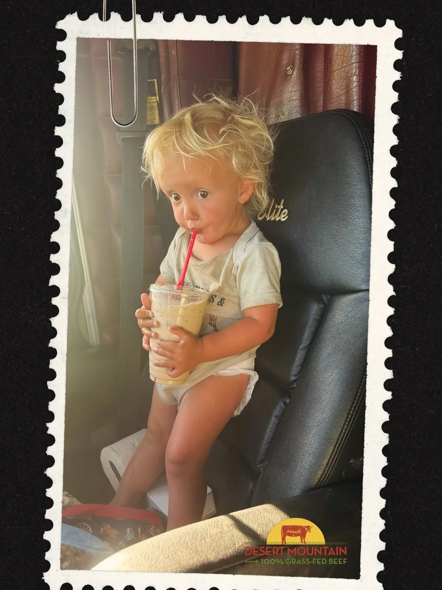 It&rsquo;s very important when the head cow boss requests an iced coffee break&hellip; you listen immediately. 🤠☕️

#grassfedbeef #ranchlife #cowboy #bossbaby #idaho