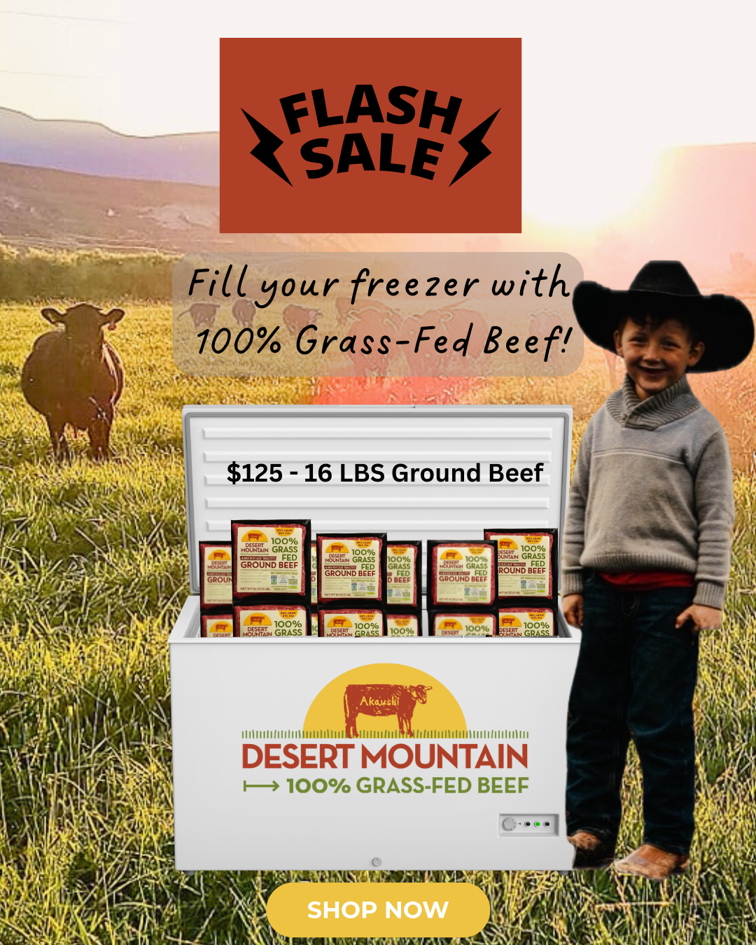 ⚡FLASH SALE!⚡ 16 POUNDS! 80/20 Wagyu Grass-Fed & Finished Ground Beef