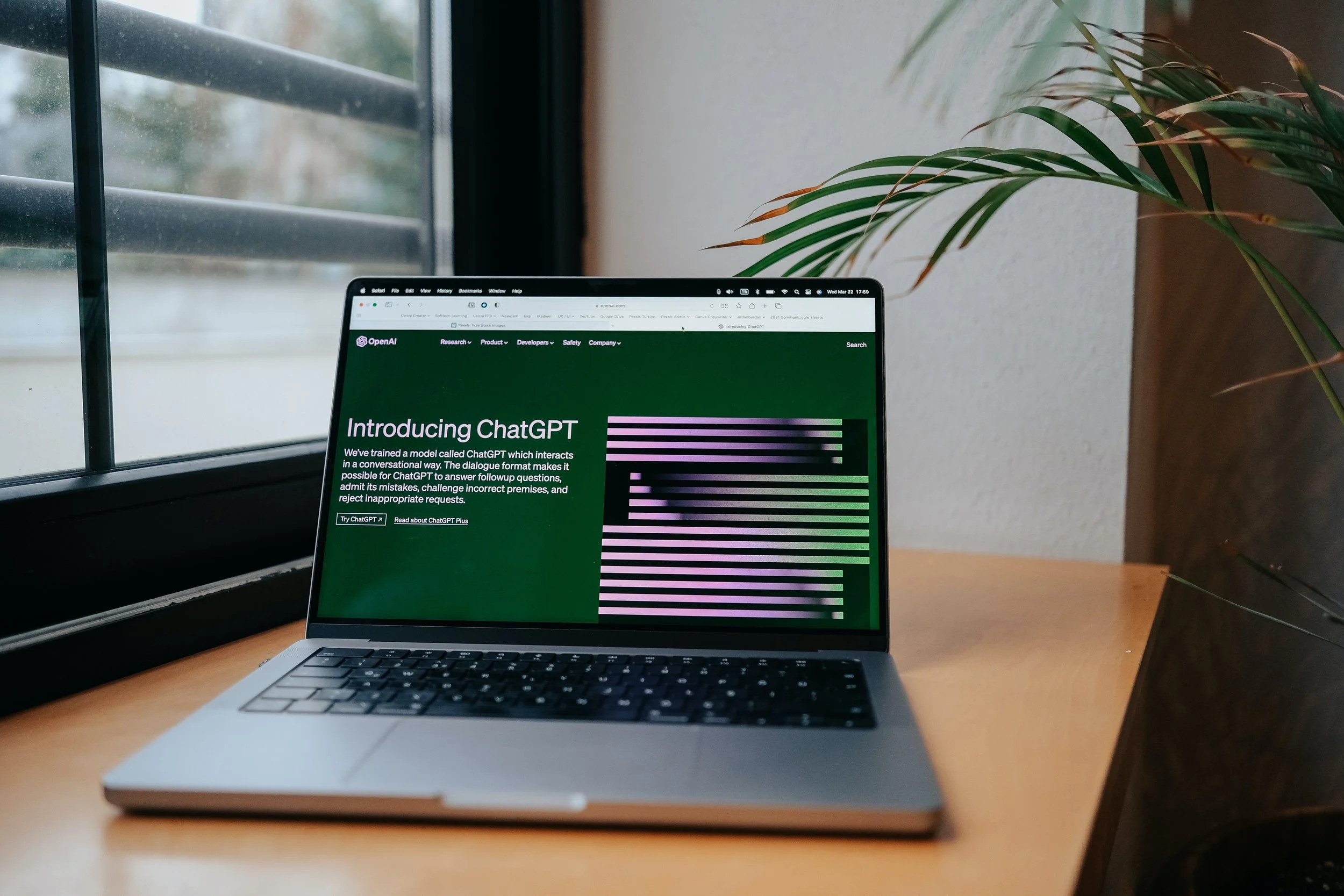 AI and Content Creation: how they work together for business owners