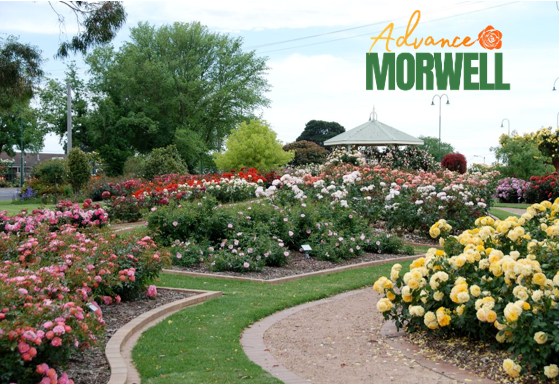 Graeme Sennett - Advance Morwell 