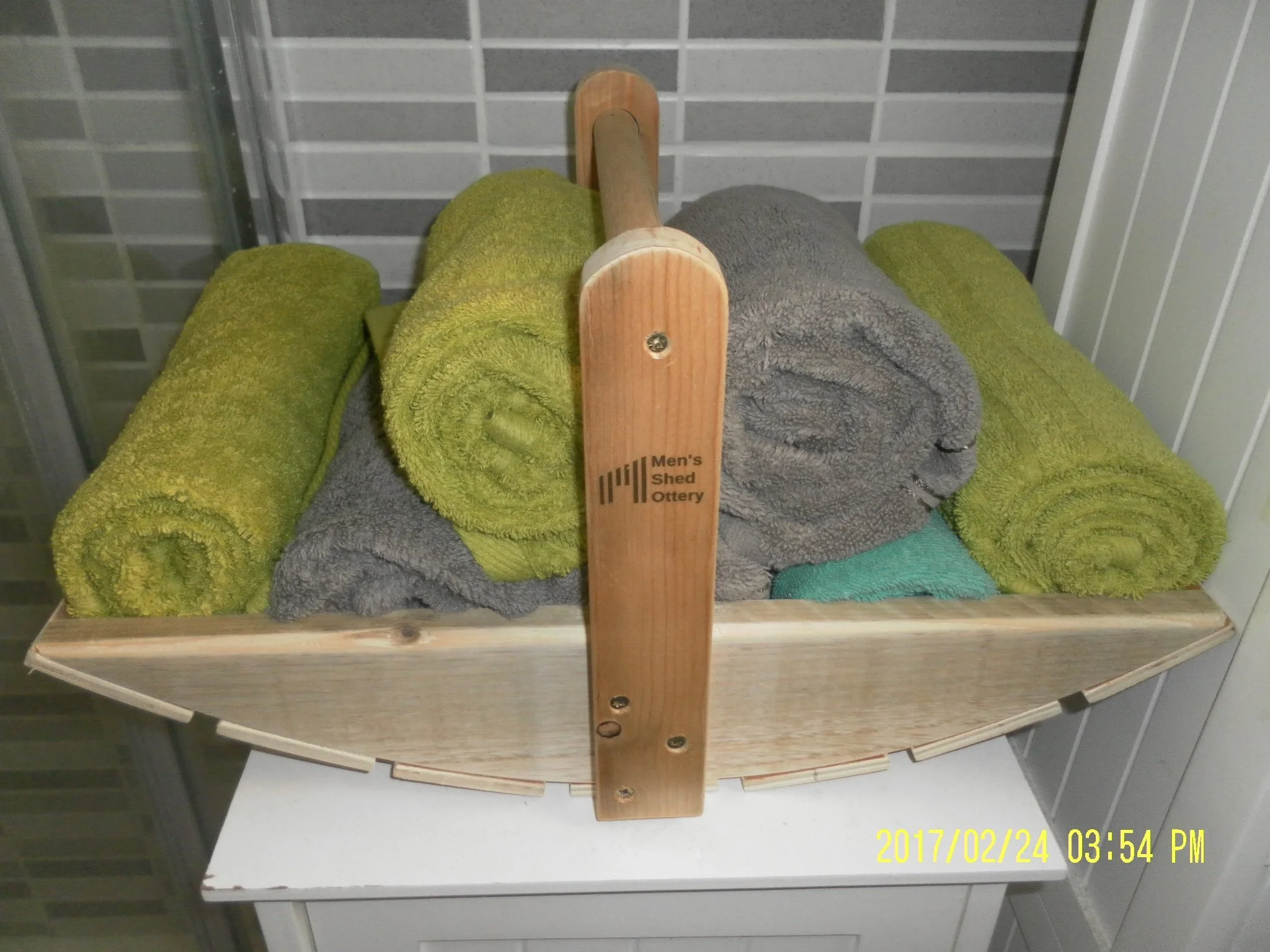 Towel carrier