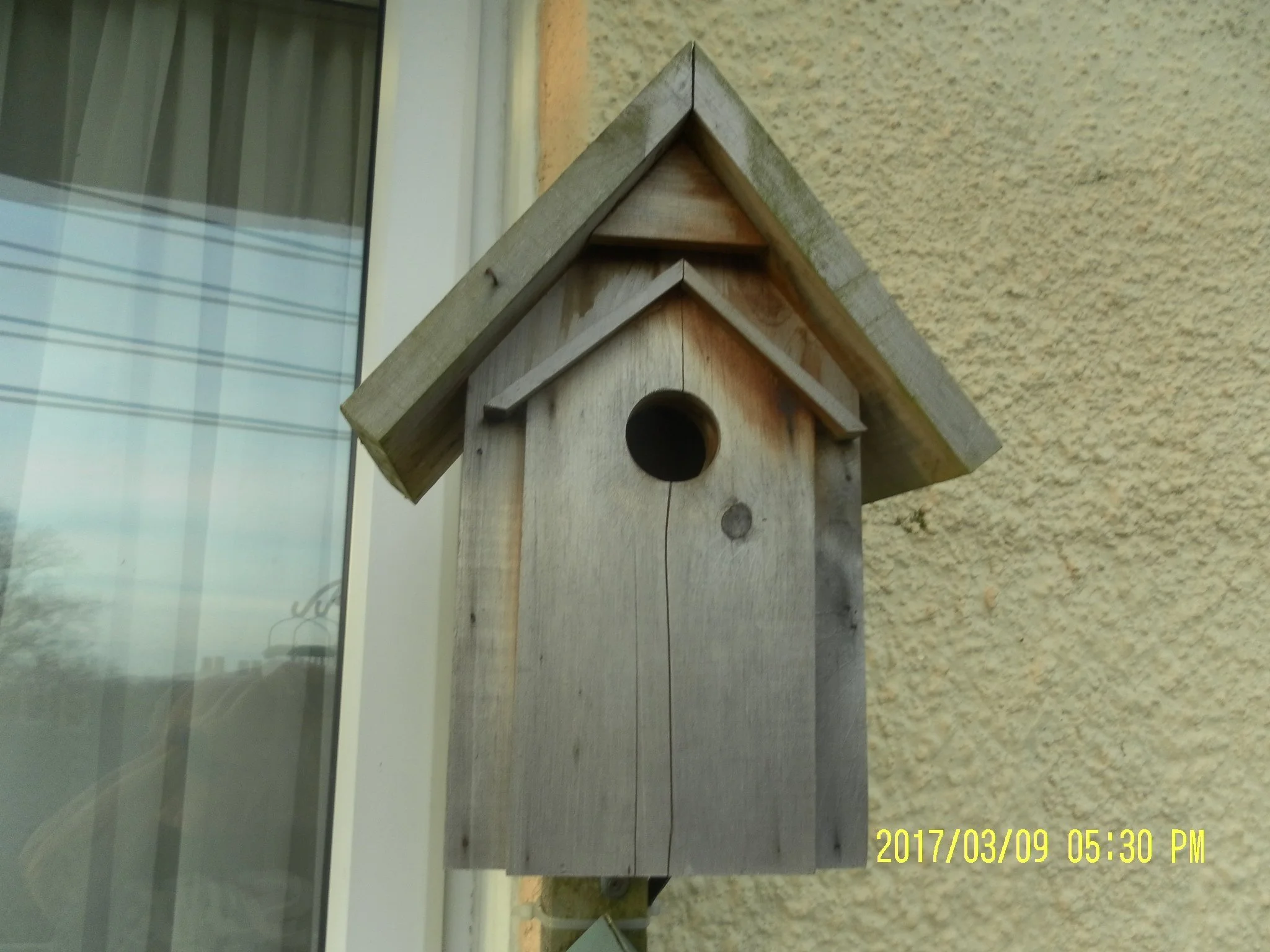 Bird box