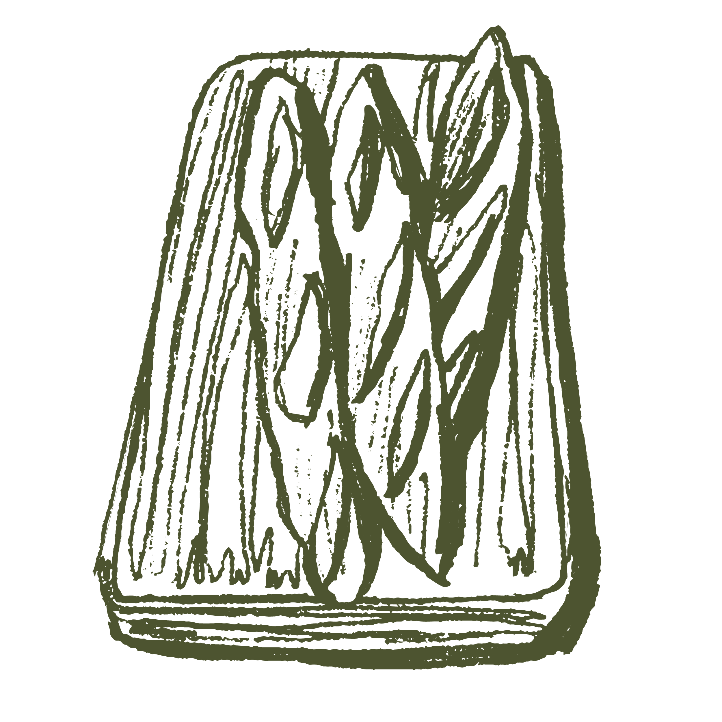 fleur de lys illustrations_B.png