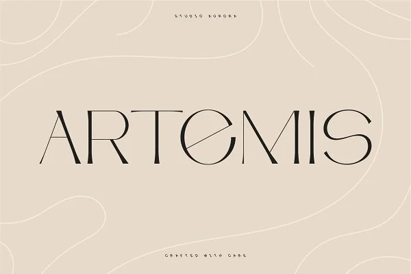 artemis-09-.jpg