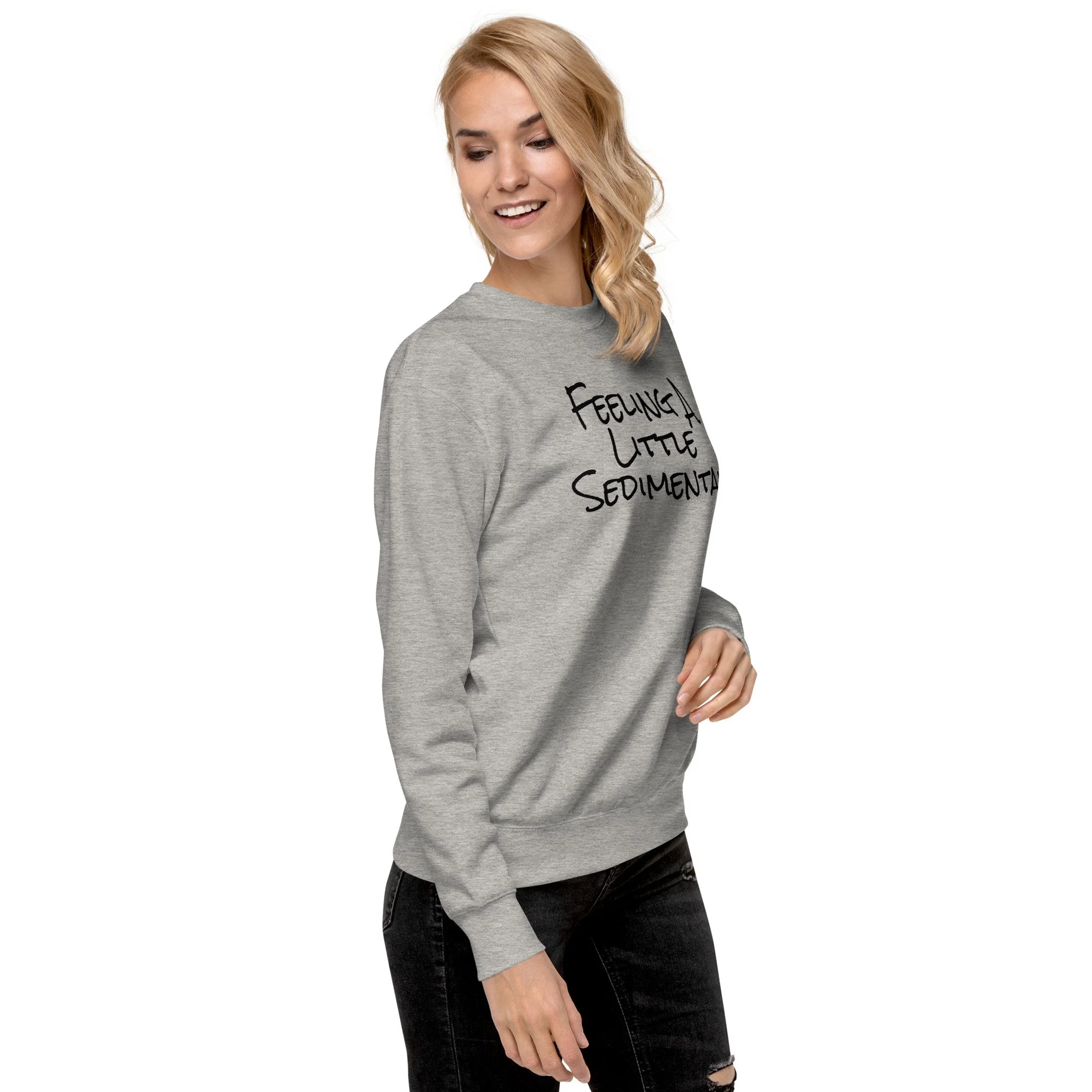 unisex-premium-sweatshirt-carbon-grey-right-front-69d5d20461ff2.jpg